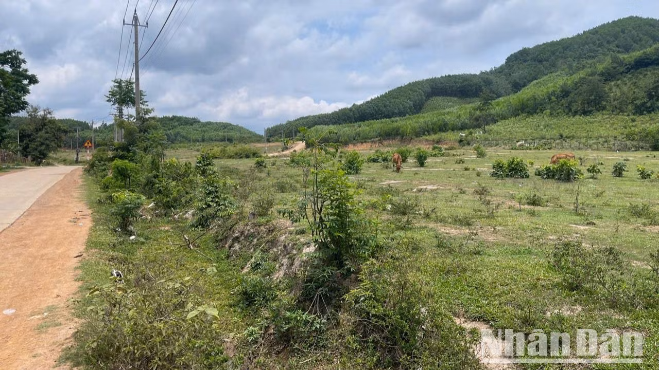 Dự án định canh, định cư xã Ea Yiêng bị bỏ hoang 3 năm nay.