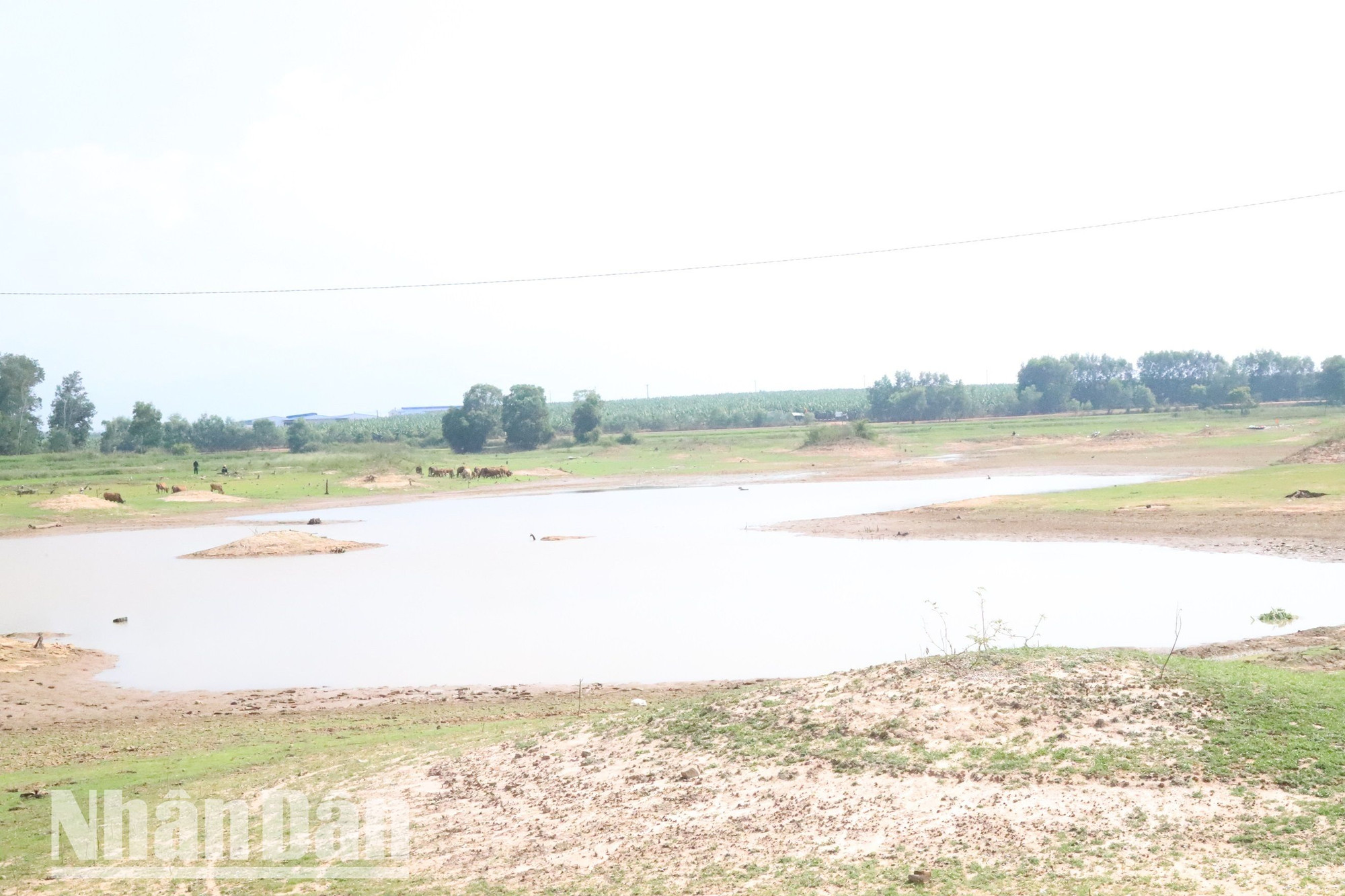 Do nắng nóng gay gắt kéo dài nhiều tháng nay nên nhiều hồ chứa trên địa bàn tỉnh Đắk Lắk đã cạn kiệt nguồn nước.