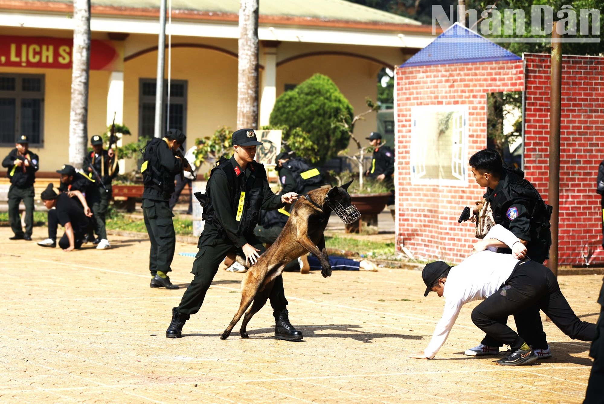 Lực lượng cảnh sát cơ động, Công an tỉnh Đắk Lắk huấn luyện chó nghiệp vụ để phòng, chống tội phạm.