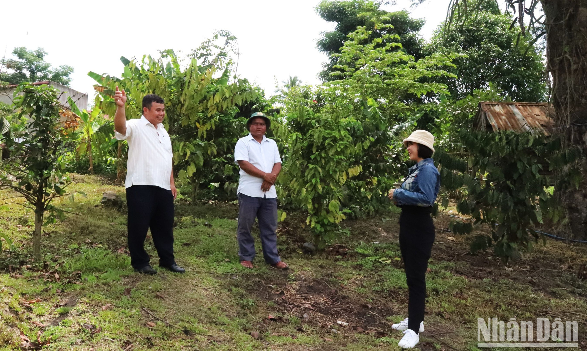 Là người lãnh đạo cao nhất xã Cư Pui nhưng đồng chí Nguyễn Văn Tâm (ngoài cùng bên trái) luôn gần gũi với nhân dân trong xã.