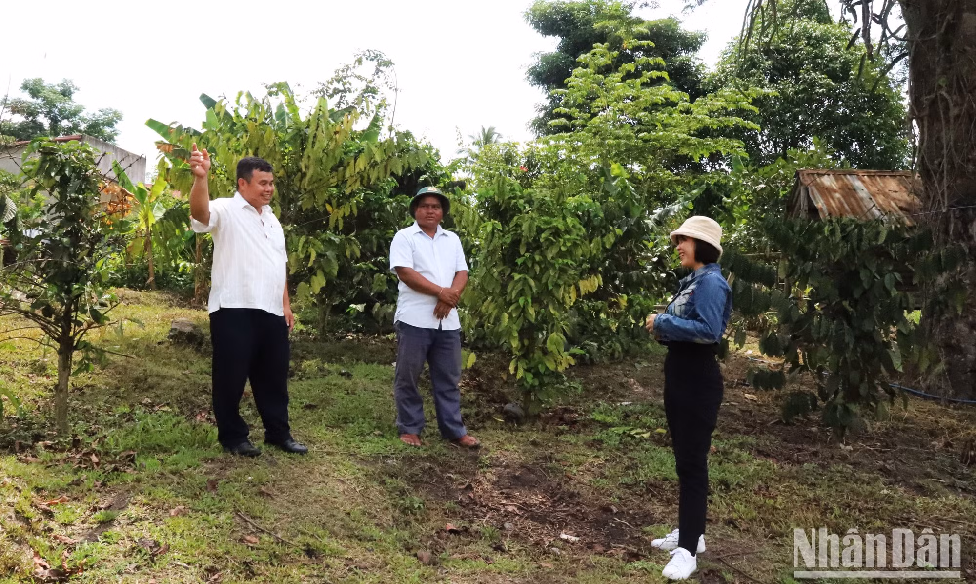 Là người lãnh đạo cao nhất xã Cư Pui nhưng đồng chí Nguyễn Văn Tâm (ngoài cùng bên trái) luôn gần gũi với nhân dân trong xã.