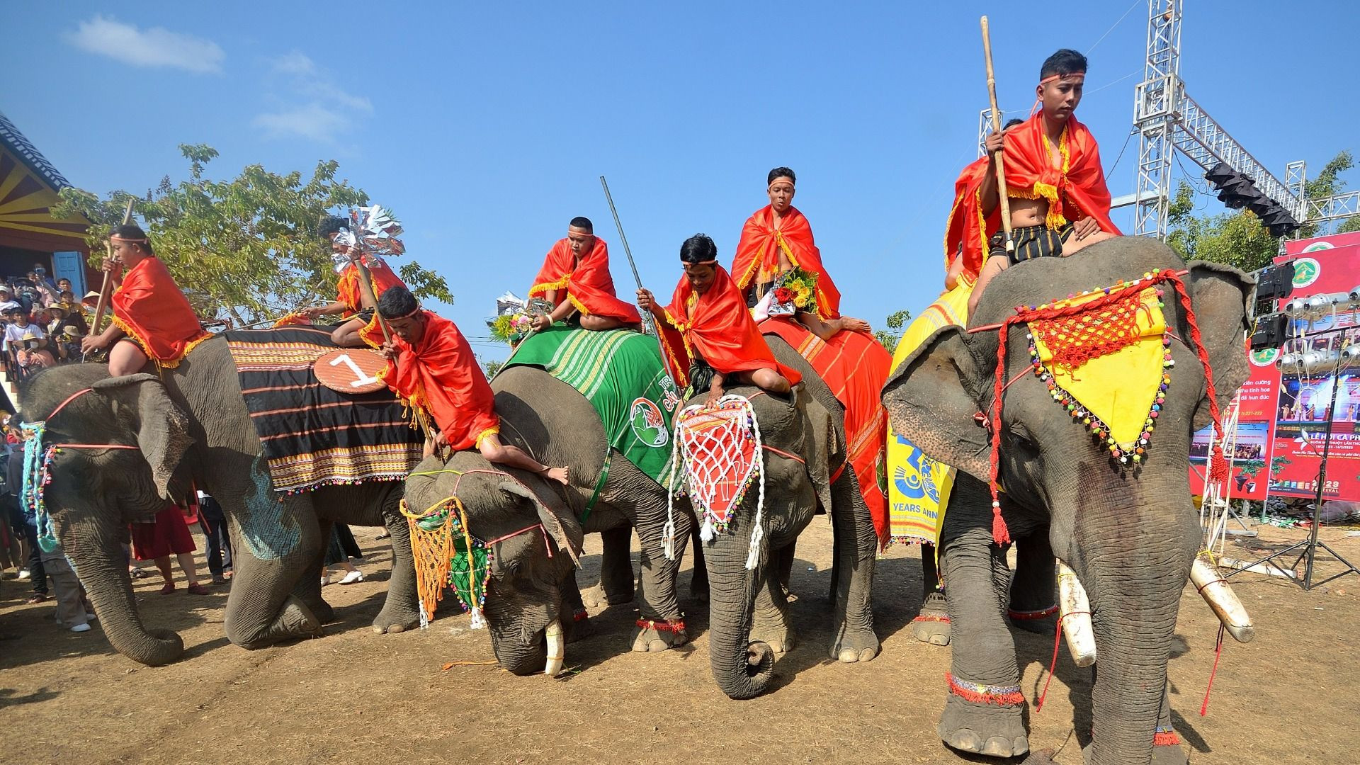 Voi Buôn Đôn chào khách.