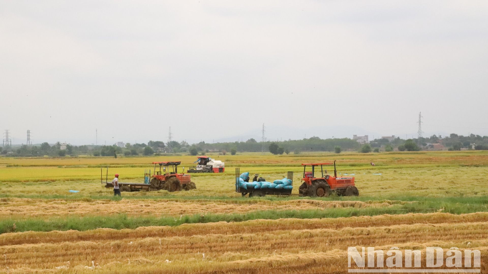 Nhờ nguồn nước của hồ Ea Súp Thượng nên diện tích lúa nước vụ đông xuân 2024-2025 trên địa bàn huyện Ea Súp đạt năng suất bình quân khoảng 9 tấn/ha.