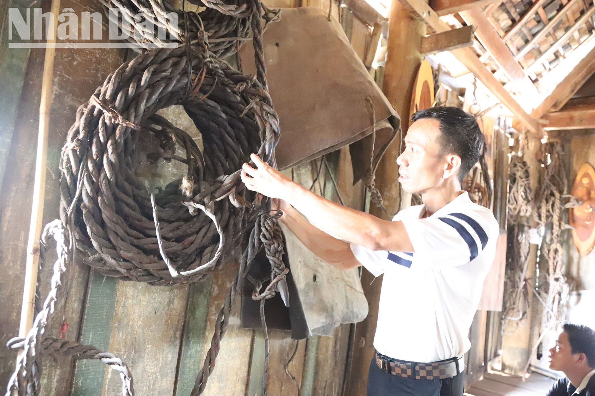 Cuộn dây da trâu là dụng cụ để cột chặt những con voi trong thời kỳ bị động kinh vào thân cây rừng. Cuộn dây da trâu là dụng cụ để cột chặt những con voi trong thời kỳ bị động kinh vào thân cây rừng.