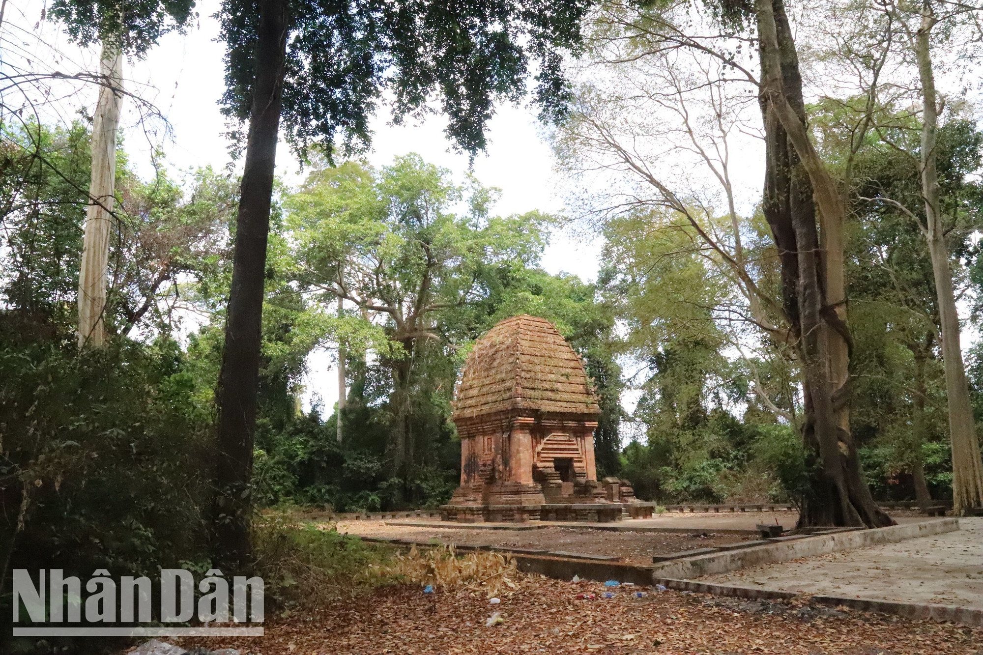 Tháp Yang Prong không được xây dựng trên những ngọn đồi cao, núi thấp không bóng cây như những ngọn tháp Chàm khác như ở các tỉnh khu vực Trung Bộ mà lại nằm ẩn mình dưới những tán cây rừng cổ thụ bao bọc xung quanh.