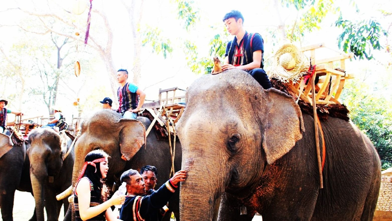 Già làng cúng sức khỏe cho voi.