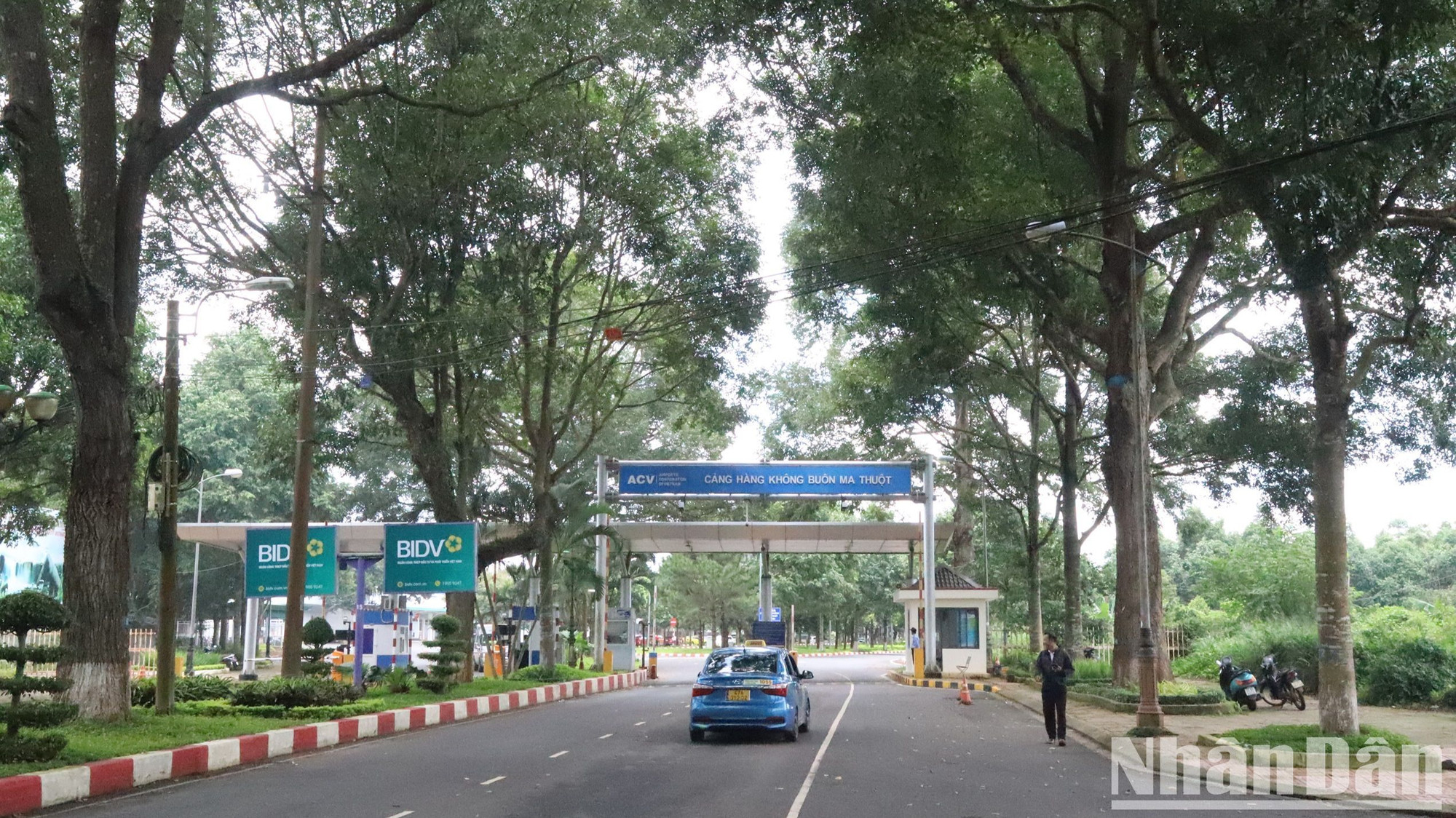 Cuối hai hàng cây cổ thụ xanh ngát là Cảng hàng không Buôn Ma Thuột.