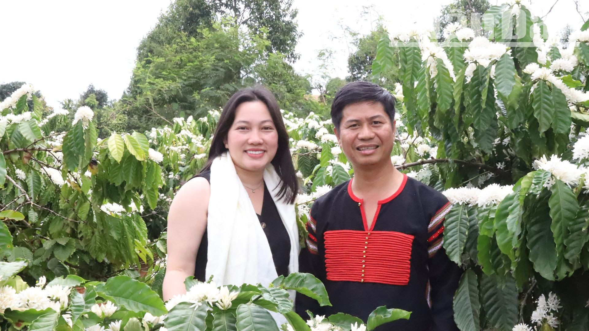 Và với những người ngày đêm làm ra những hạt cà-phê thơm ngát.