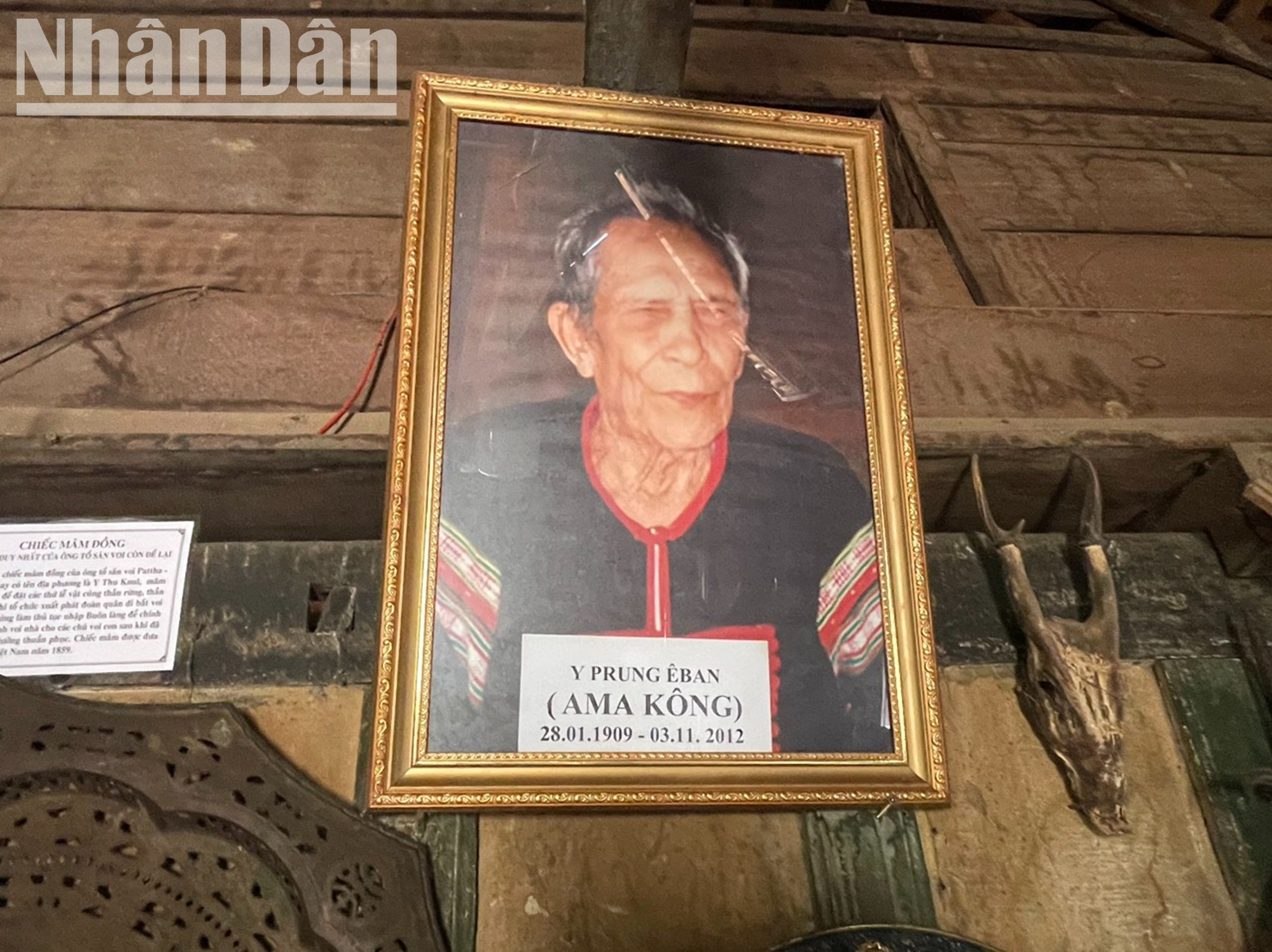 Trong ngôi nhà sàn cổ của vua voi, hiện đang trưng bày hình ảnh của ông Y Prung Êban (tên thường gọi là Ama Kông) là cháu của vua voi Y Thu Knul, con rể của vua voi Ama Pợ Pho Khăm Súc và cũng là truyền nhân cuối cùng nghề săn voi ở Buôn Đôn. Trong cuộc đời mình ông đã săn được 298 voi rừng, trong đó có 3 bạch tượng, một loài voi trắng quý hiếm. Vua voi Ama Kông có 21 người con, 118 cháu, chắt. Ông còn nổi tiếng với bài thuốc gia truyền tráng dương, bổ thận được nhiều người ca ngợi. Trong ngôi nhà sàn cổ của vua voi, hiện đang trưng bày hình ảnh của ông Y Prung Êban (tên thường gọi là Ama Kông) là cháu của vua voi Y Thu Knul, con rể của vua voi Ama Pợ Pho Khăm Súc và cũng là truyền nhân cuối cùng nghề săn voi ở Buôn Đôn. Trong cuộc đời mình ông đã săn được 298 voi rừng, trong đó có 3 bạch tượng, một loài voi trắng quý hiếm. Vua voi Ama Kông có 21 người con, 118 cháu, chắt. Ông còn nổi tiếng với bài thuốc gia truyền tráng dương, bổ thận được nhiều người ca ngợi.