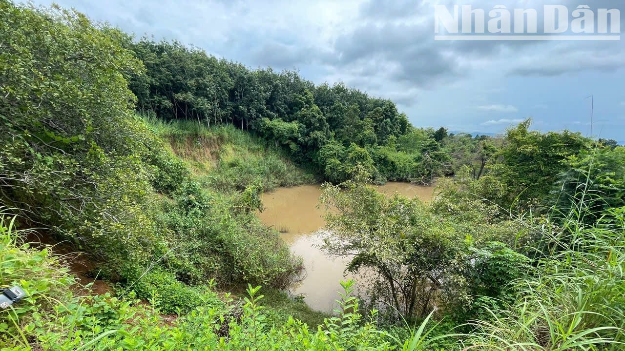 Theo ông Nguyễn Văn Long, ở thôn 6, xã Ia Jlơi, chủ thửa đất được phát hiện có Di chỉ khảo cổ học Thác Hai, tình trạng sạt lở trong nhiều năm qua đã làm khoảng 3.000m2 đất trồng điều của gia đình ông sạt xuống sông Ea H'leo. Theo ông Nguyễn Văn Long, ở thôn 6, xã Ia Jlơi, chủ thửa đất được phát hiện có Di chỉ khảo cổ học Thác Hai, tình trạng sạt lở trong nhiều năm qua đã làm khoảng 3.000m2 đất trồng điều của gia đình ông sạt xuống sông Ea H'leo.