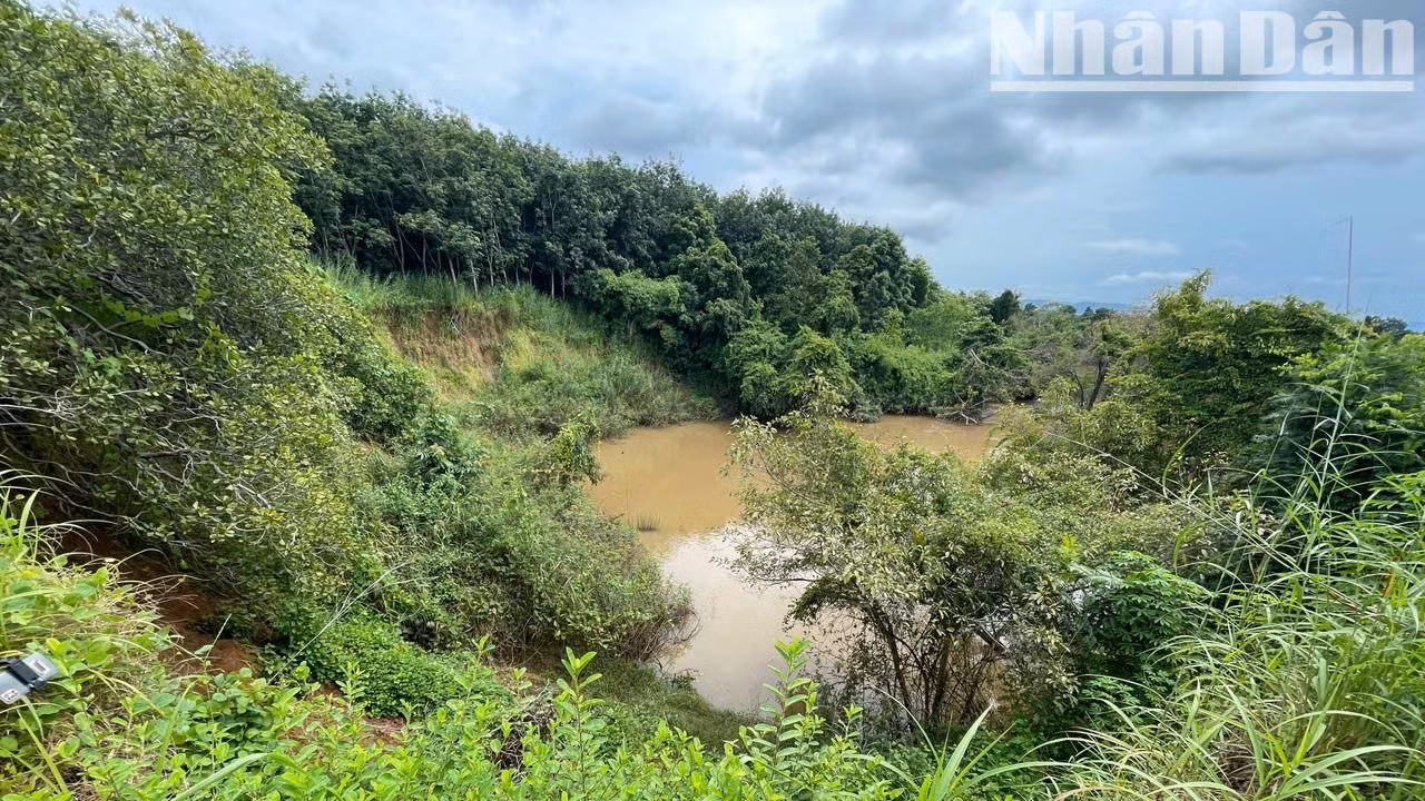 Theo ông Nguyễn Văn Long, ở thôn 6, xã Ia Jlơi, chủ thửa đất được phát hiện có Di chỉ khảo cổ học Thác Hai, tình trạng sạt lở trong nhiều năm qua đã làm khoảng 3.000m2 đất trồng điều của gia đình ông sạt xuống sông Ea H'leo. Theo ông Nguyễn Văn Long, ở thôn 6, xã Ia Jlơi, chủ thửa đất được phát hiện có Di chỉ khảo cổ học Thác Hai, tình trạng sạt lở trong nhiều năm qua đã làm khoảng 3.000m2 đất trồng điều của gia đình ông sạt xuống sông Ea H'leo.