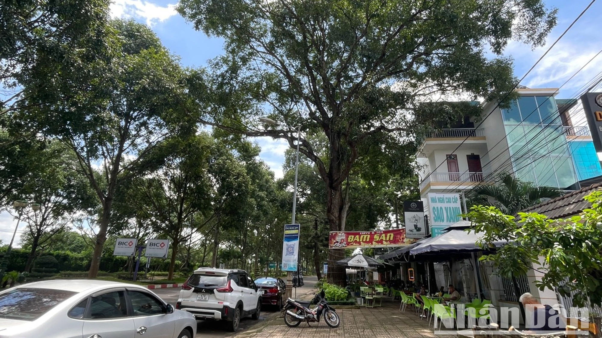 Tận dụng bóng mát của cây cổ thụ, những gia đình ở bên đường mở quán cà-phê phục vụ du khách và người dân địa phương.