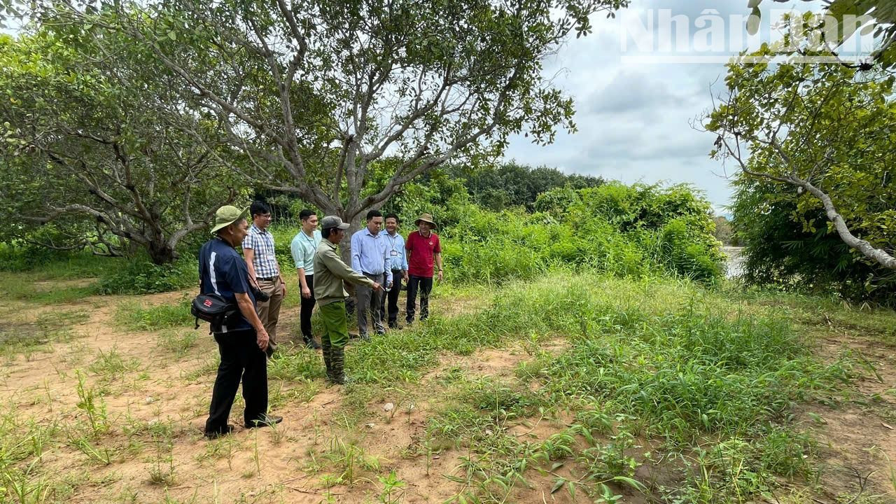 Do đó, Di chỉ khảo cổ học Thác Hai, một di chỉ khảo cổ học quan trọng ở Tây Nguyên đang đứng trước nguy cơ “xóa sổ”. Do đó, Di chỉ khảo cổ học Thác Hai, một di chỉ khảo cổ học quan trọng ở Tây Nguyên đang đứng trước nguy cơ “xóa sổ”.