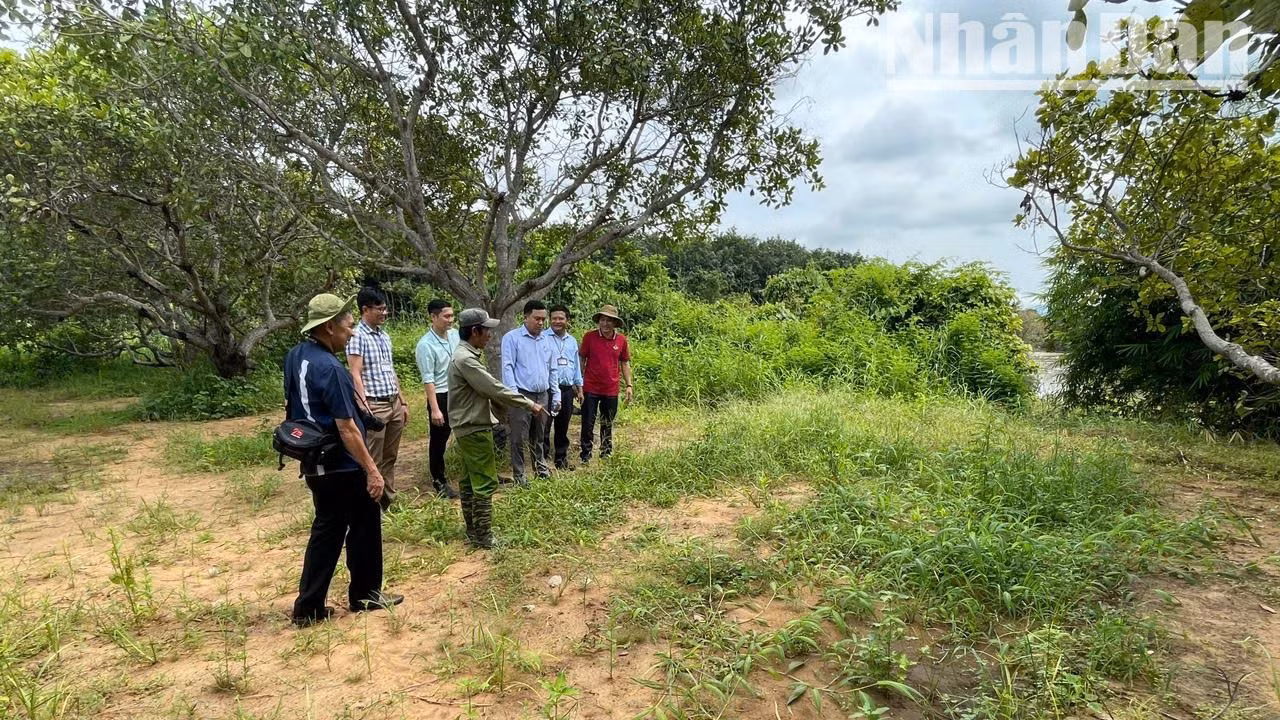 Do đó, Di chỉ khảo cổ học Thác Hai, một di chỉ khảo cổ học quan trọng ở Tây Nguyên đang đứng trước nguy cơ “xóa sổ”. Do đó, Di chỉ khảo cổ học Thác Hai, một di chỉ khảo cổ học quan trọng ở Tây Nguyên đang đứng trước nguy cơ “xóa sổ”.