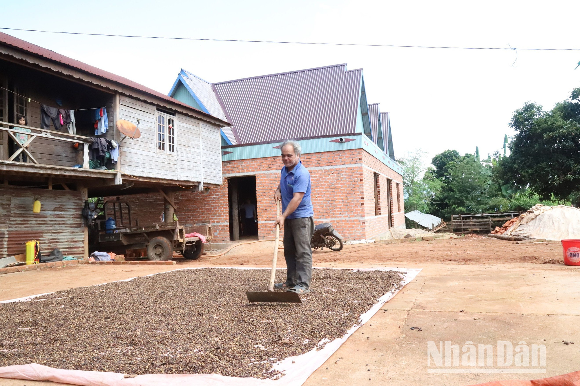 Khi trở về với con đường sáng, Nay Biên được các cán bộ, già làng và Công an xã Ea Sol giáo dục, động viên, giúp đỡ vươn lên trở thành hộ làm kinh tế giỏi ở xã Ea Sol.