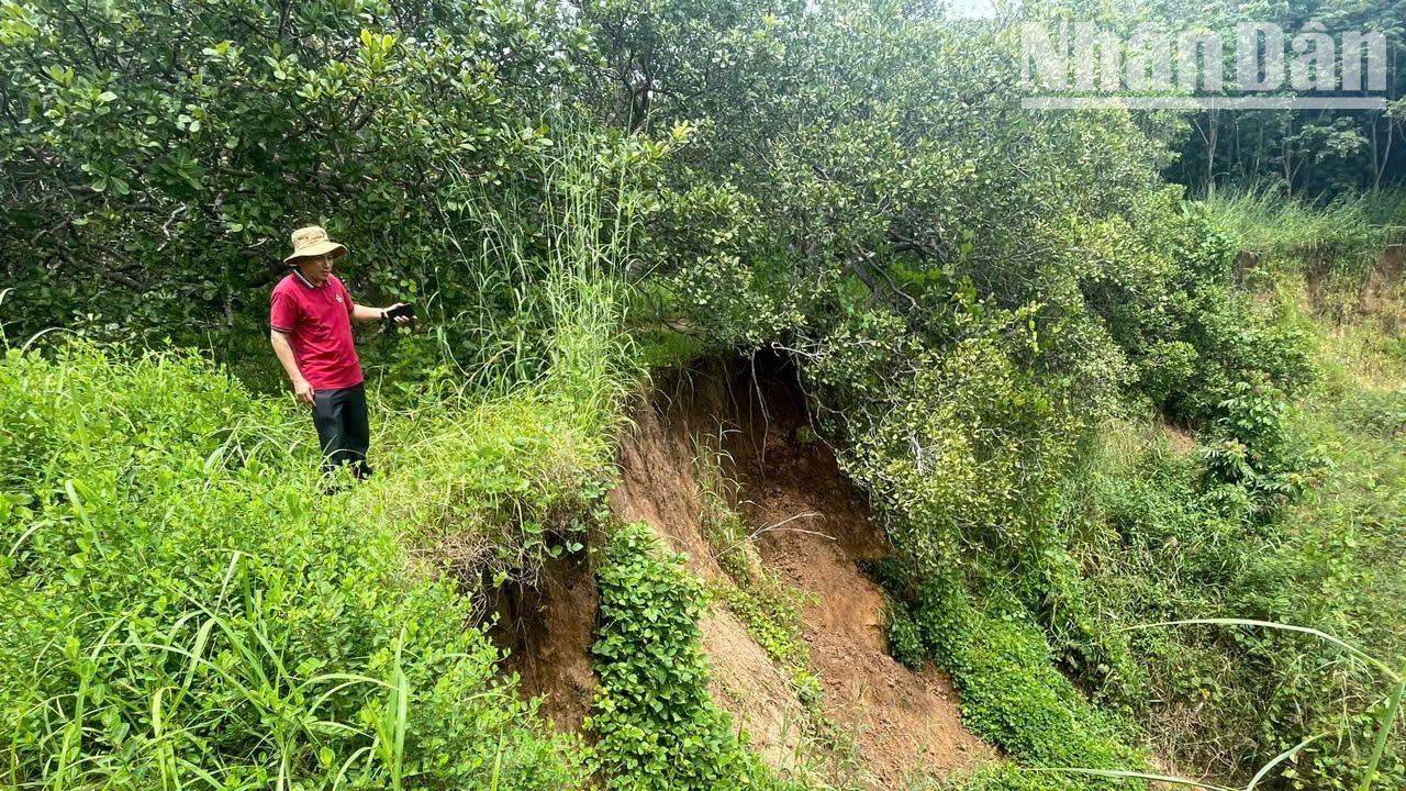 Theo Thạc sĩ Trần Quang Năm, Phó Giám đốc Bảo tàng Đắk Lắk, khi phát hiện Di chỉ khảo cổ học Thác Hai vào năm 2020 thì dòng sông Ea H'leo cách khu vực khai quật khoảng 200m, nhưng nay sạt lở vào sát khu vực khai quật chỉ còn khoảng 2m. Theo Thạc sĩ Trần Quang Năm, Phó Giám đốc Bảo tàng Đắk Lắk, khi phát hiện Di chỉ khảo cổ học Thác Hai vào năm 2020 thì dòng sông Ea H'leo cách khu vực khai quật khoảng 200m, nhưng nay sạt lở vào sát khu vực khai quật chỉ còn khoảng 2m.