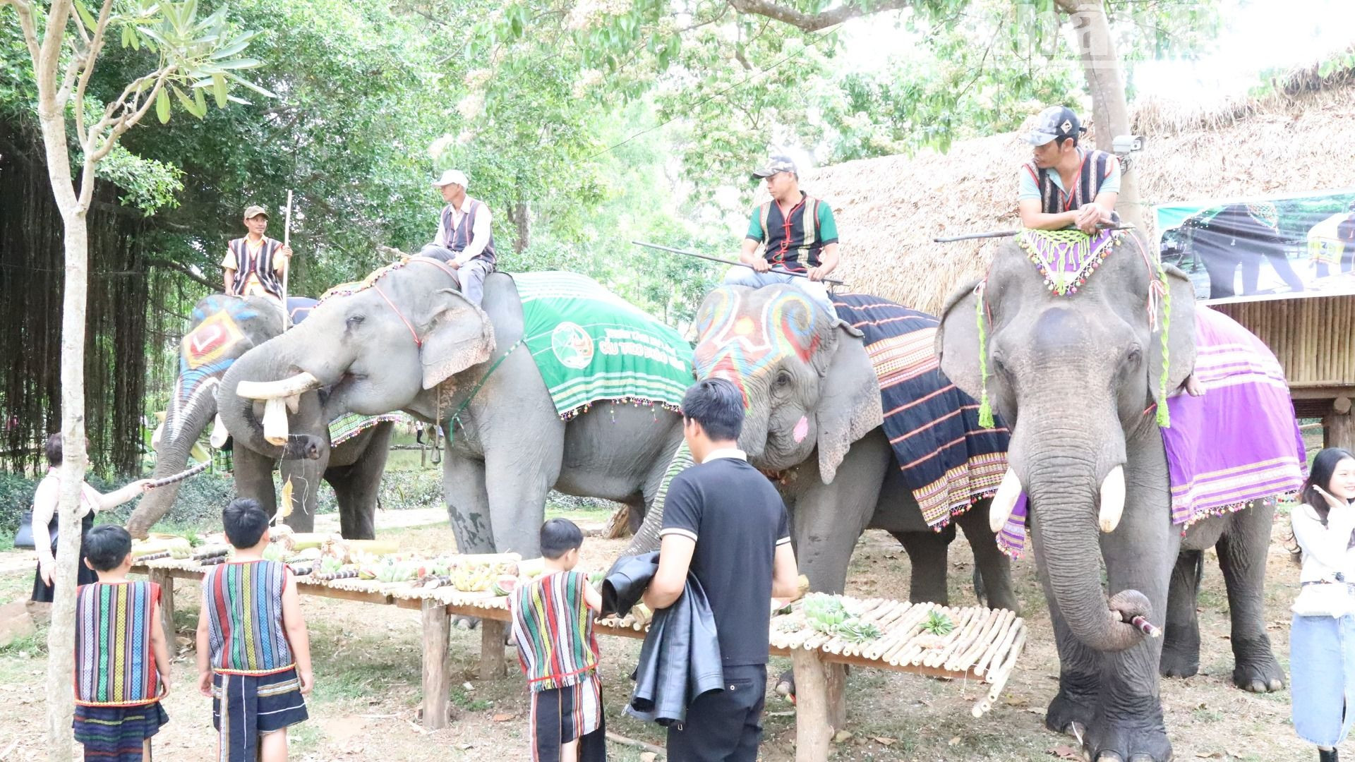 Là vùng đất huyền bí và trong năm 2025 sẽ diễn ra nhiều ngày lễ, kỷ niệm lớn của đất nước và tỉnh Đắk Lắk, ngành du lịch Đắk Lắk đặt mục tiêu sẽ đón khoảng 1,8 triệu lượt khách trong nước và nước ngoài. Là vùng đất huyền bí và trong năm 2025 sẽ diễn ra nhiều ngày lễ, kỷ niệm lớn của đất nước và tỉnh Đắk Lắk, ngành du lịch Đắk Lắk đặt mục tiêu sẽ đón khoảng 1,8 triệu lượt khách trong nước và nước ngoài.