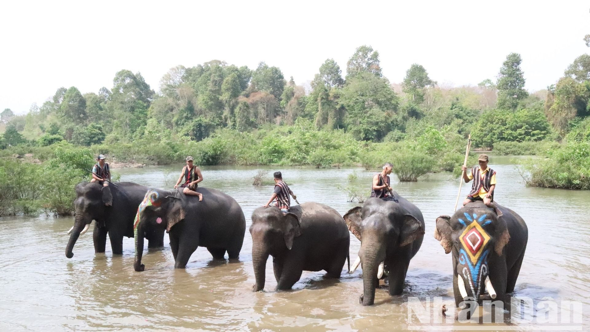 Tắm và té nước cùng voi, một trong những hoạt động du lịch thân thiện với voi tại Trung tâm du lịch được đông đảo du khách yêu thích.