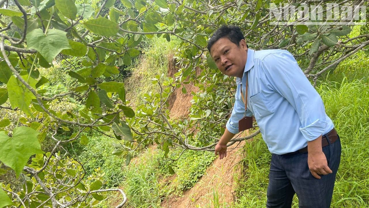 Chủ tịch Ủy ban nhân dân xã Ia Jlơi Nguyễn Văn Đồng kiểm tra tình trạng sạt lở bờ sông Ea H'leo ảnh hưởng đến Di chỉ khảo cổ học Thác Hai. Chủ tịch Ủy ban nhân dân xã Ia Jlơi Nguyễn Văn Đồng kiểm tra tình trạng sạt lở bờ sông Ea H'leo ảnh hưởng đến Di chỉ khảo cổ học Thác Hai.
