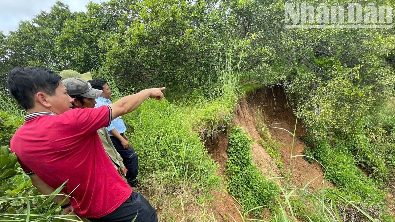 Và tình trạng sạt lở bờ sông Ea H'leo tại khu vực Di chỉ khảo cổ học Thác Hai ngày càng diễn ra nghiêm trọng. Và tình trạng sạt lở bờ sông Ea H'leo tại khu vực Di chỉ khảo cổ học Thác Hai ngày càng diễn ra nghiêm trọng.