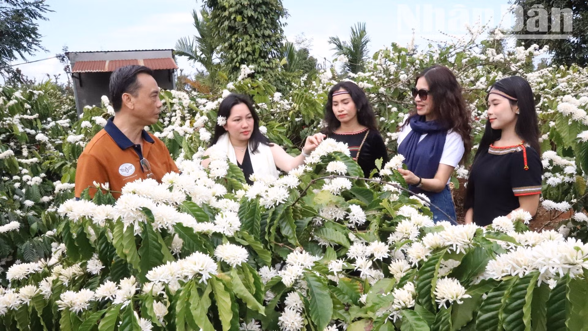 Hãy đến với Đắk Lắk và Lễ hội cà-phê Buôn Ma Thuột lần thứ 9 năm 2025 để khám phá và có những trải nghiệm không thể nào quên với mùa hoa cà-phê nở thơm ngát trên vùng đất đỏ bazan Cao nguyên hùng vĩ.