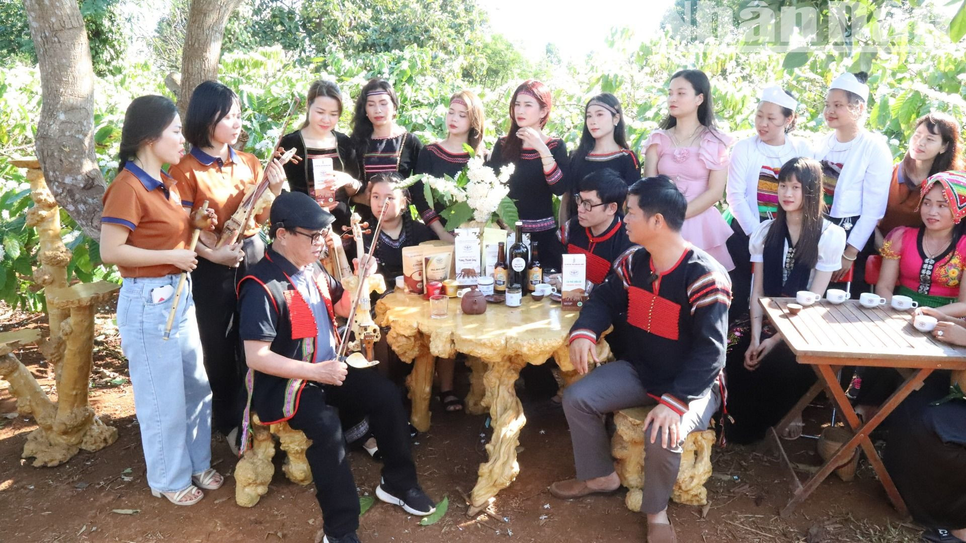 Các hoạt động thăm quan, trải nghiệm và thưởng thức cà-phê giữa bạt ngàn hương hoa cà-phê làm cho du khách hết sức thích thú.