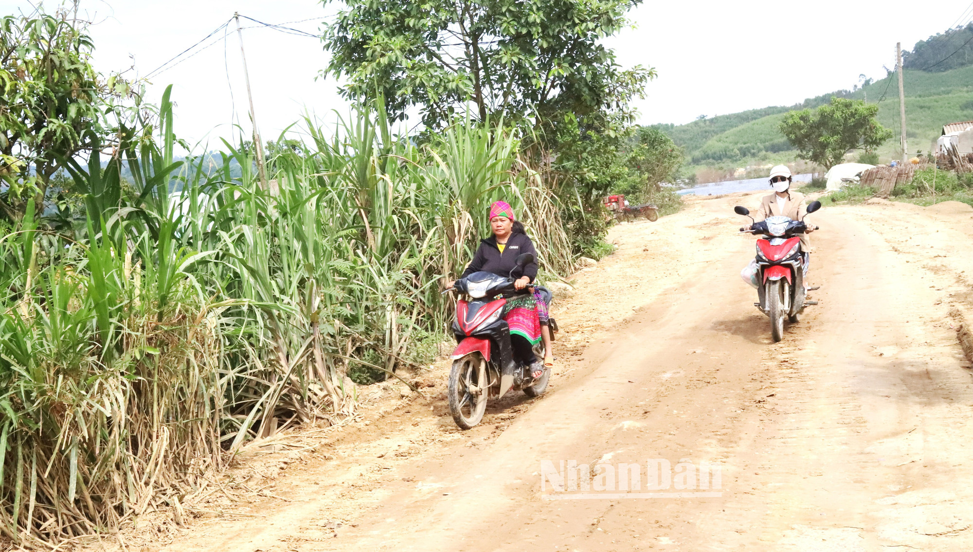 Dân di cư tự do vào Đắk Lắk chủ yếu sinh sống ở khu vực vùng sâu, vùng xa và gần rừng, gây rất nhiều áp lực cho chính quyền địa phương trong công tác bảo đảm an sinh xã hội.
