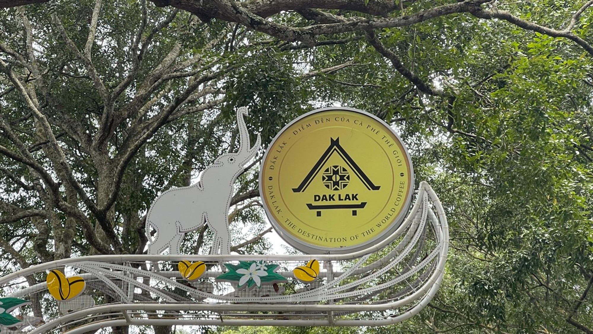 Nổi bật trên nền lá xanh của hàng cây cổ thụ là biểu tượng của tỉnh Đắk Lắk.