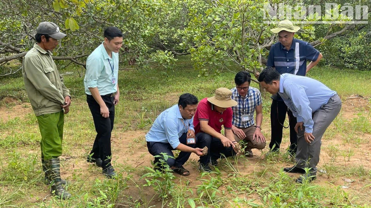 Theo khảo sát của Bảo tàng Đắk Lắk, diện tích khai quật có thể đến vài héc-ta. Theo khảo sát của Bảo tàng Đắk Lắk, diện tích khai quật có thể đến vài héc-ta.