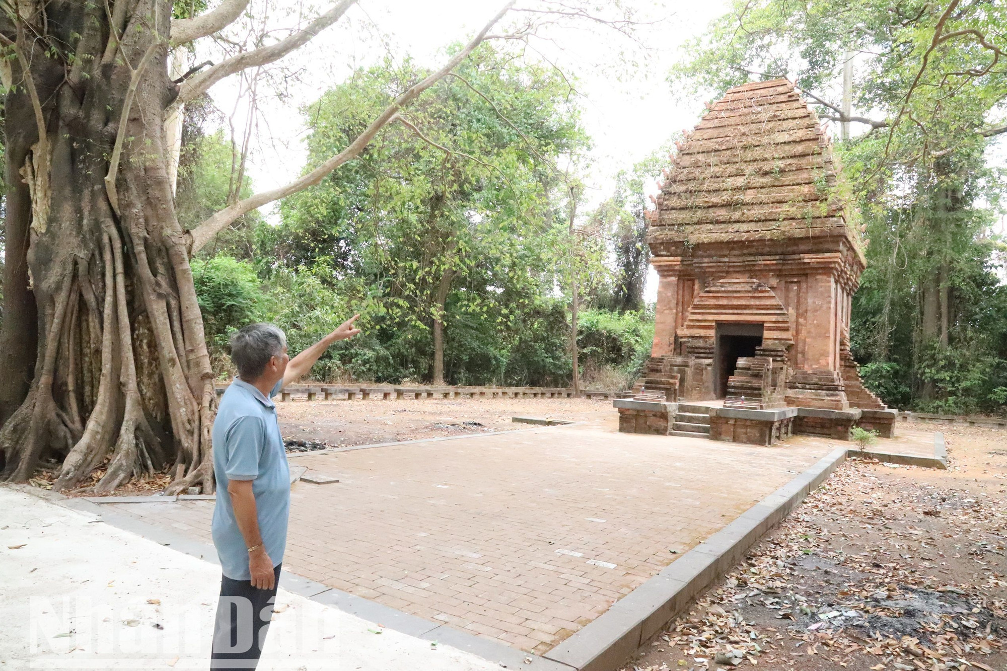 Tháp Yang Prong được phát hiện vào khoảng những năm 1904-1911 bởi một nhà dân tộc học người Pháp tên Henri Maitre.