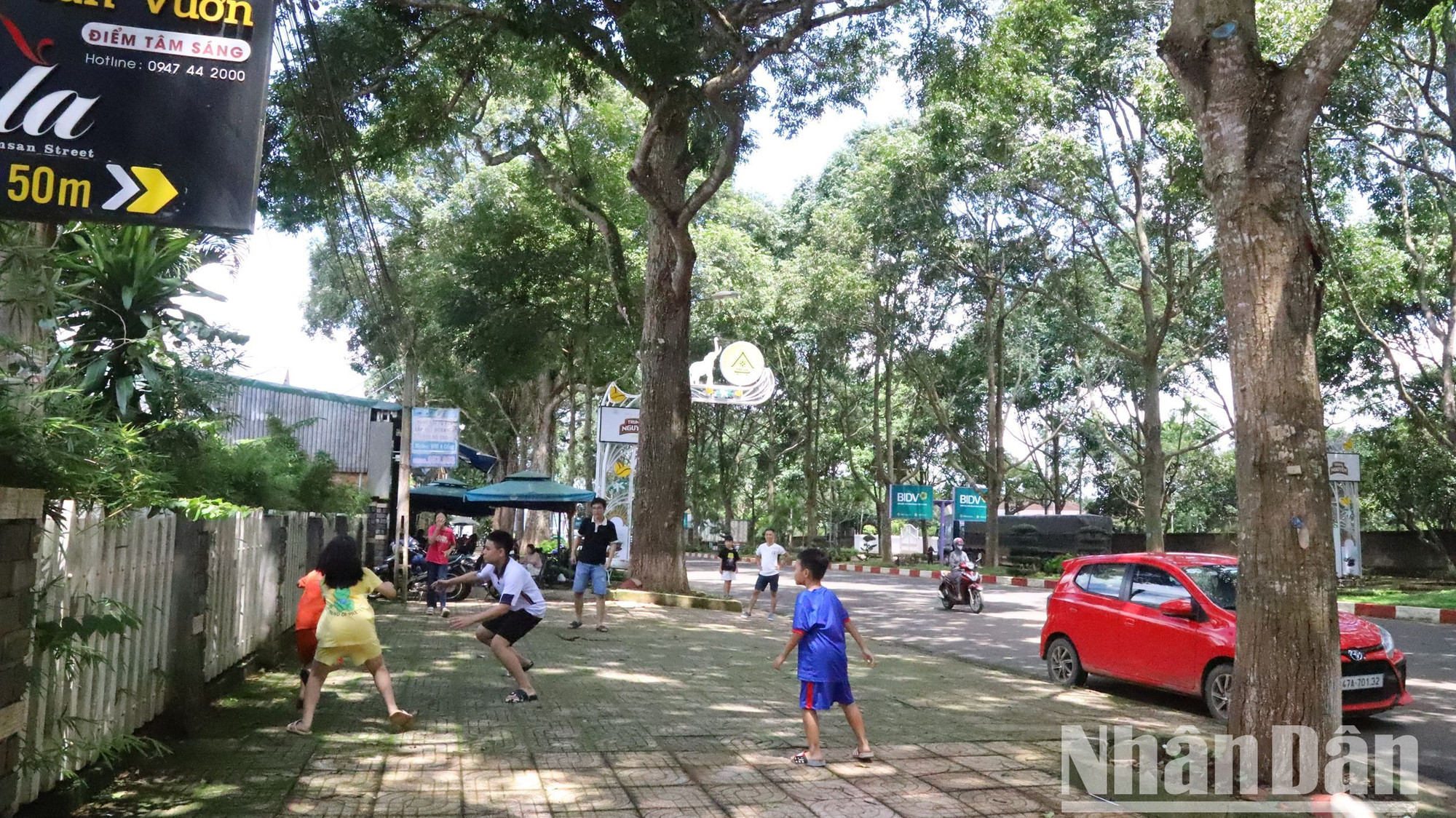 Dưới bóng mát của những cây Sao đen cổ thụ, trẻ em vui chơi thỏa thích.