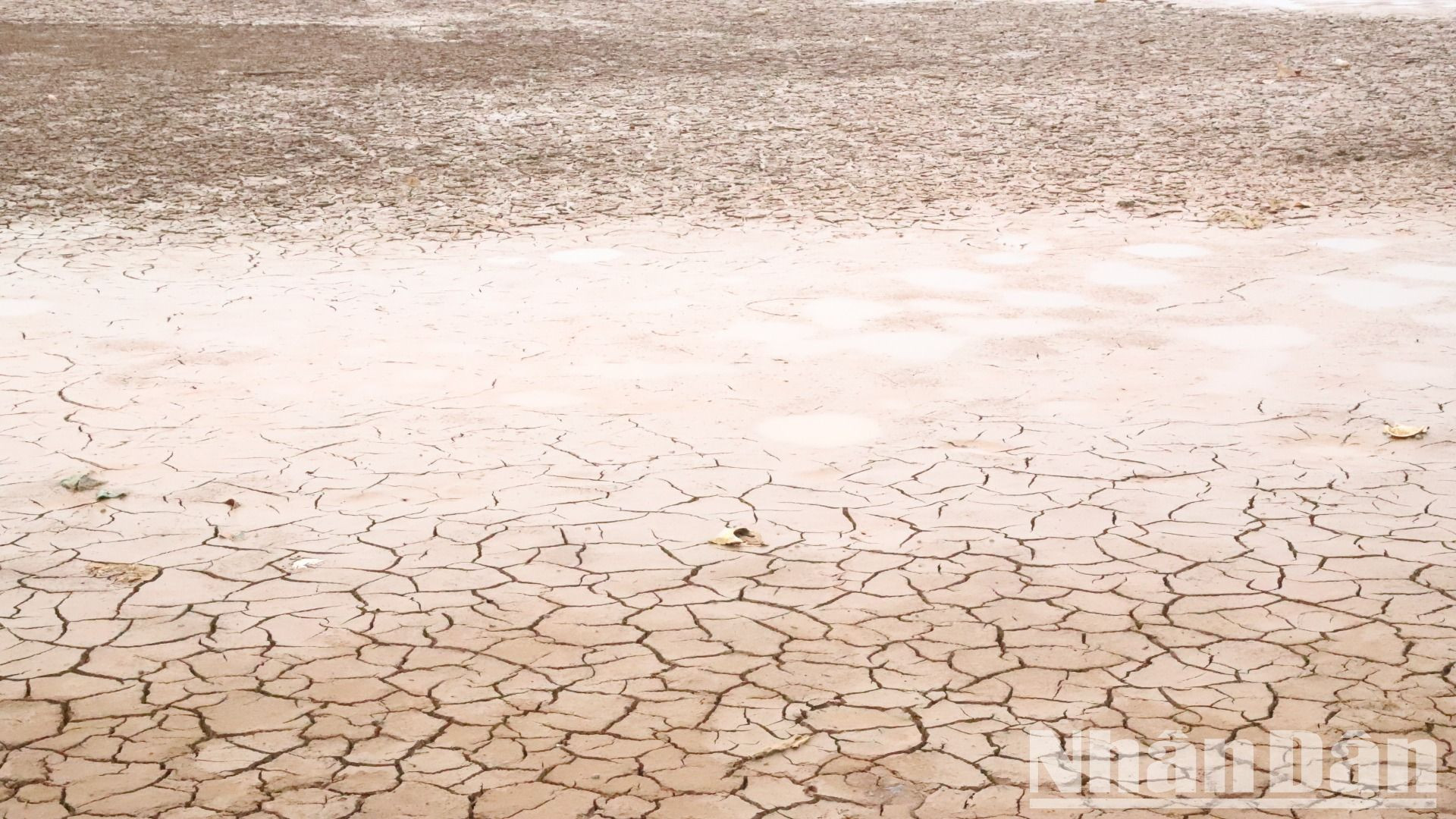 Nhiều khu vực trong lòng hồ đã cạn nước, nứt nẻ.