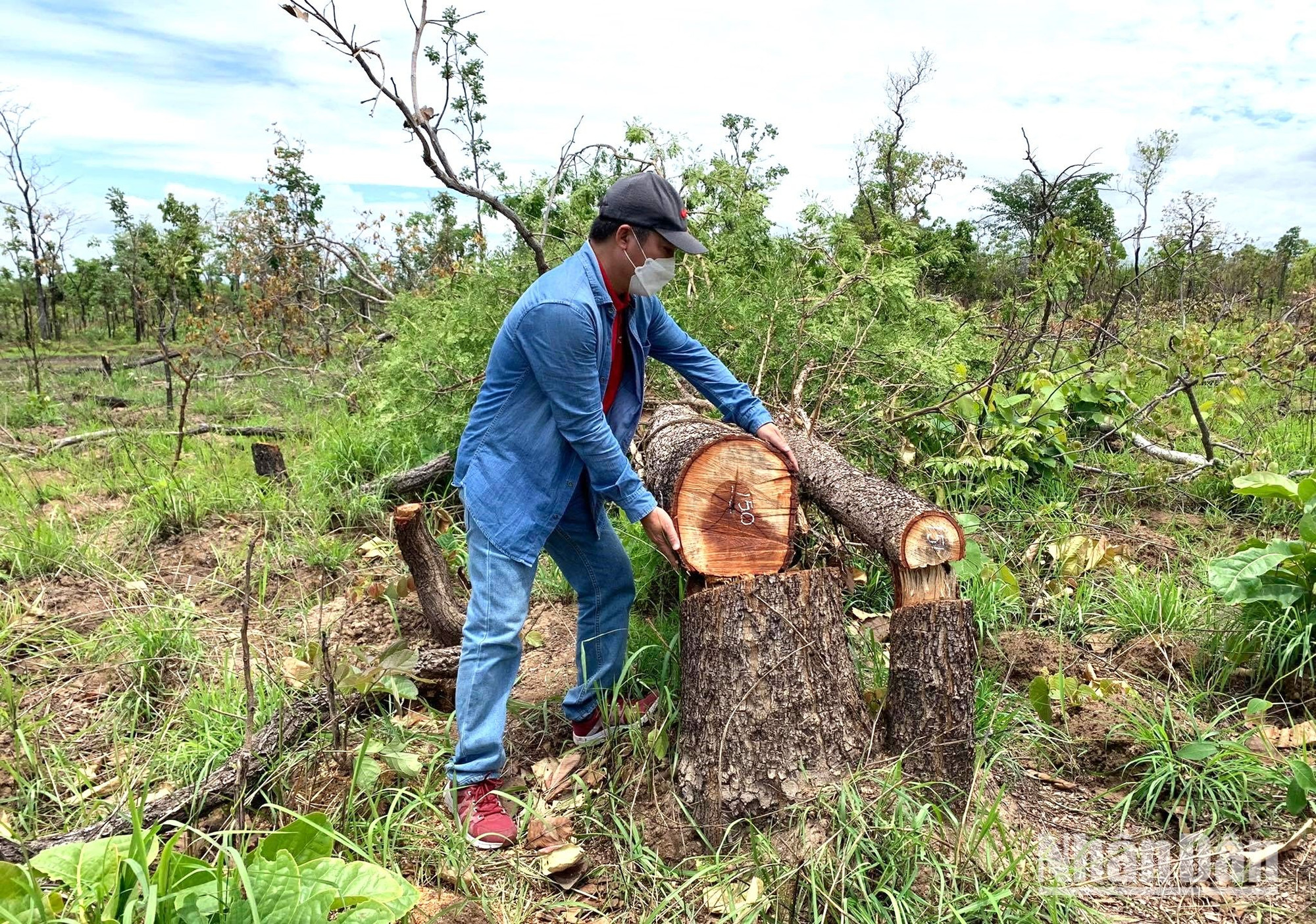 Thiên tai ở Đắk Lắk diễn biến ngày càng phức tạp là do tình trạng phá rừng chưa được ngăn chặn triệt để.