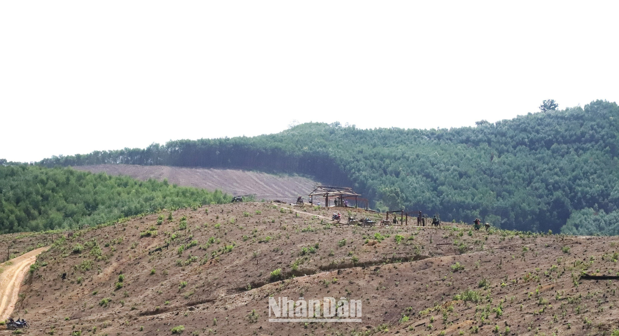 Dân di cư tự do lấn chiếm đất lâm nghiệp ở xã Cư San, huyện M'Đrắk làm nhà sinh sống và sản xuất, gây nhiều khó khăn cho chính quyền địa phương trong công tác quản lý đất đai.