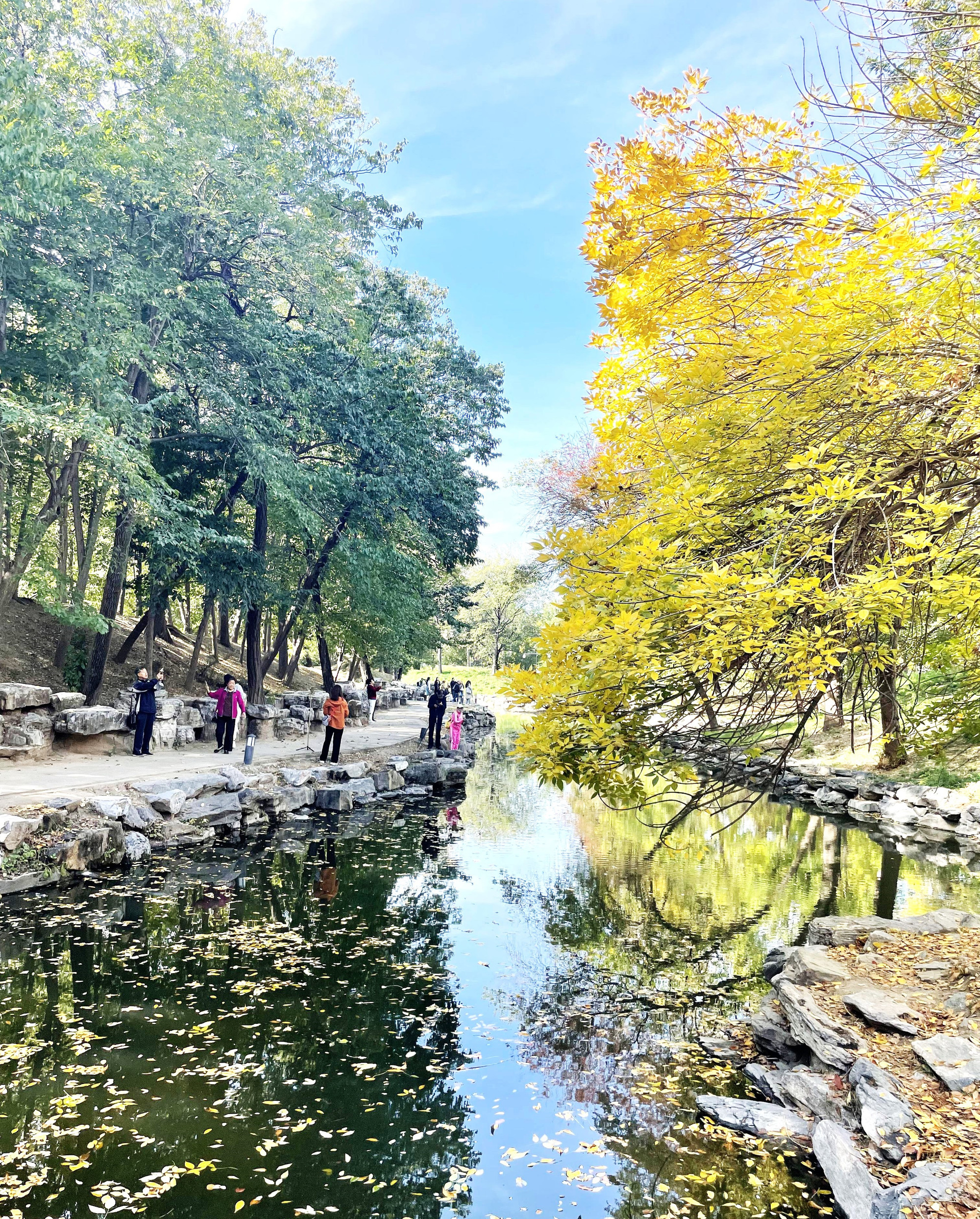 Sắc thu bên hồ ở thắng cảnh Viên Minh Viên.