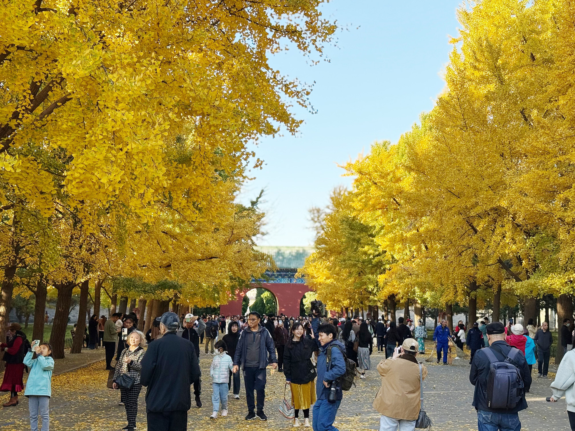 Thời tiết se lạnh rất phù hợp để vãn cảnh cuối thu.