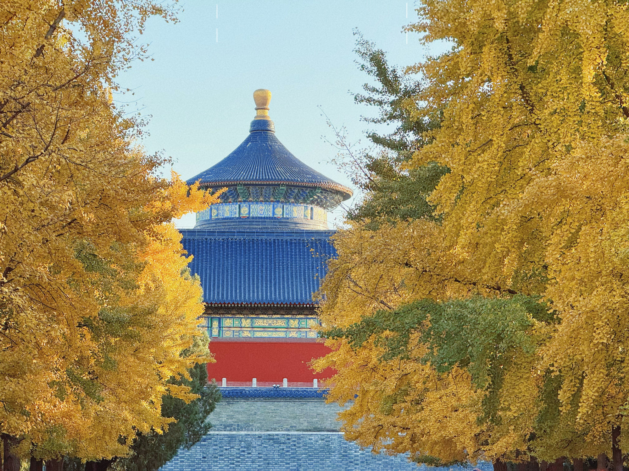 Công viên Thiên Đàn khoác lên mình tấm áo vàng rực rỡ.