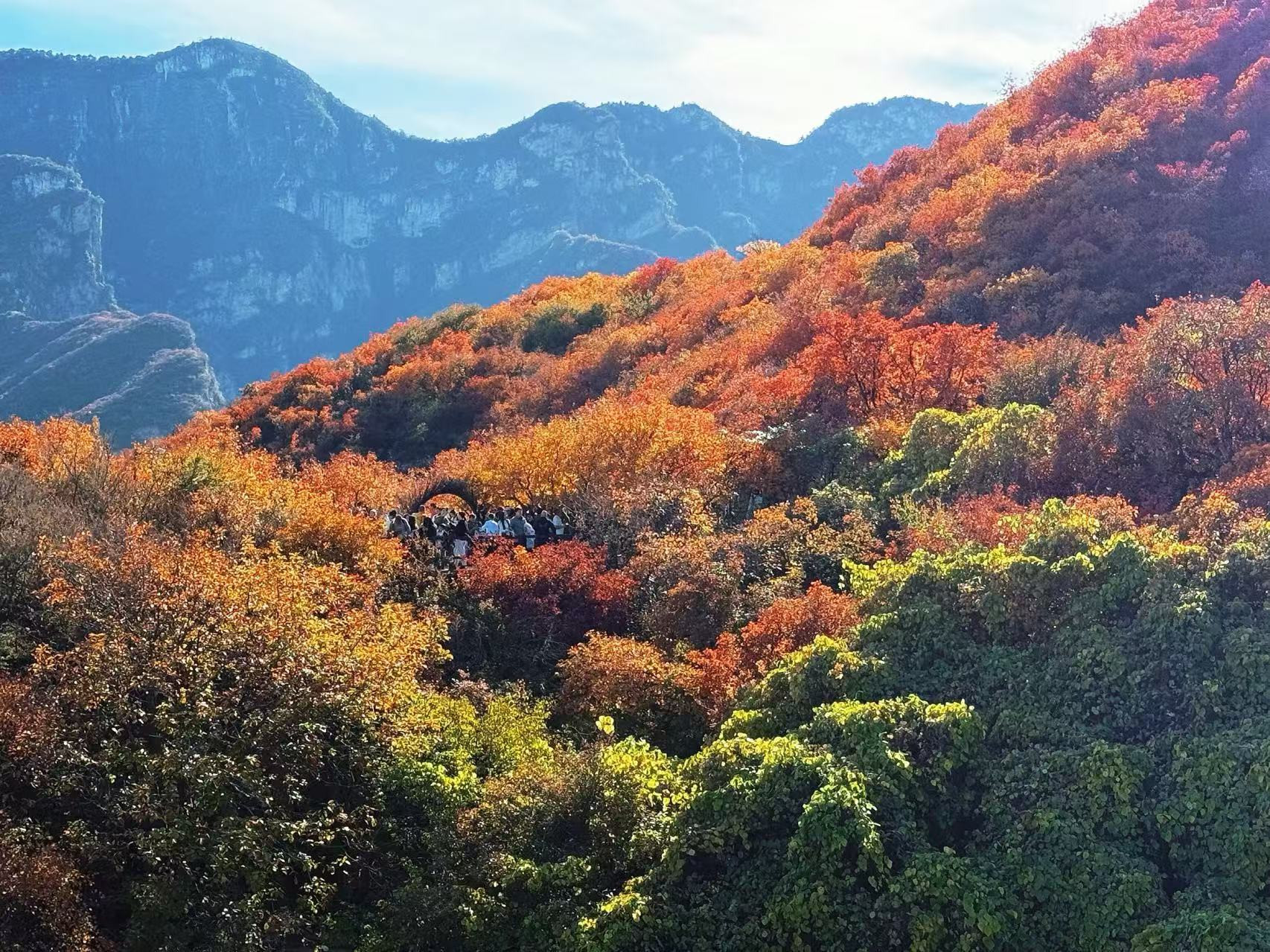 Núi đồi khoác lên mình tấm áo mùa thu đỏ rực.