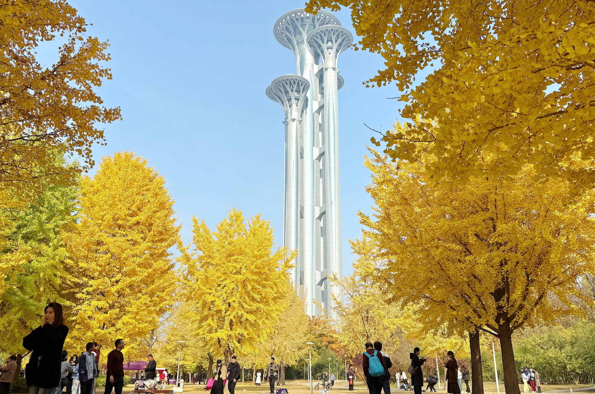 Du khách check-in ở công viên Olympics ở Bắc Kinh.