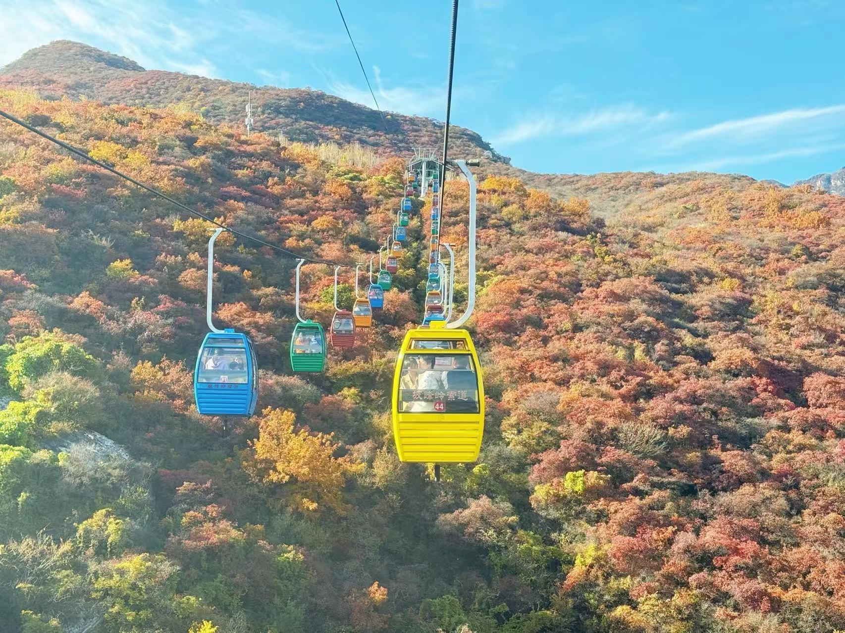 Du khách có thể đi cáp treo để ngắm nhìn cảnh sắc mùa thu ở Pha Phong Lĩnh.