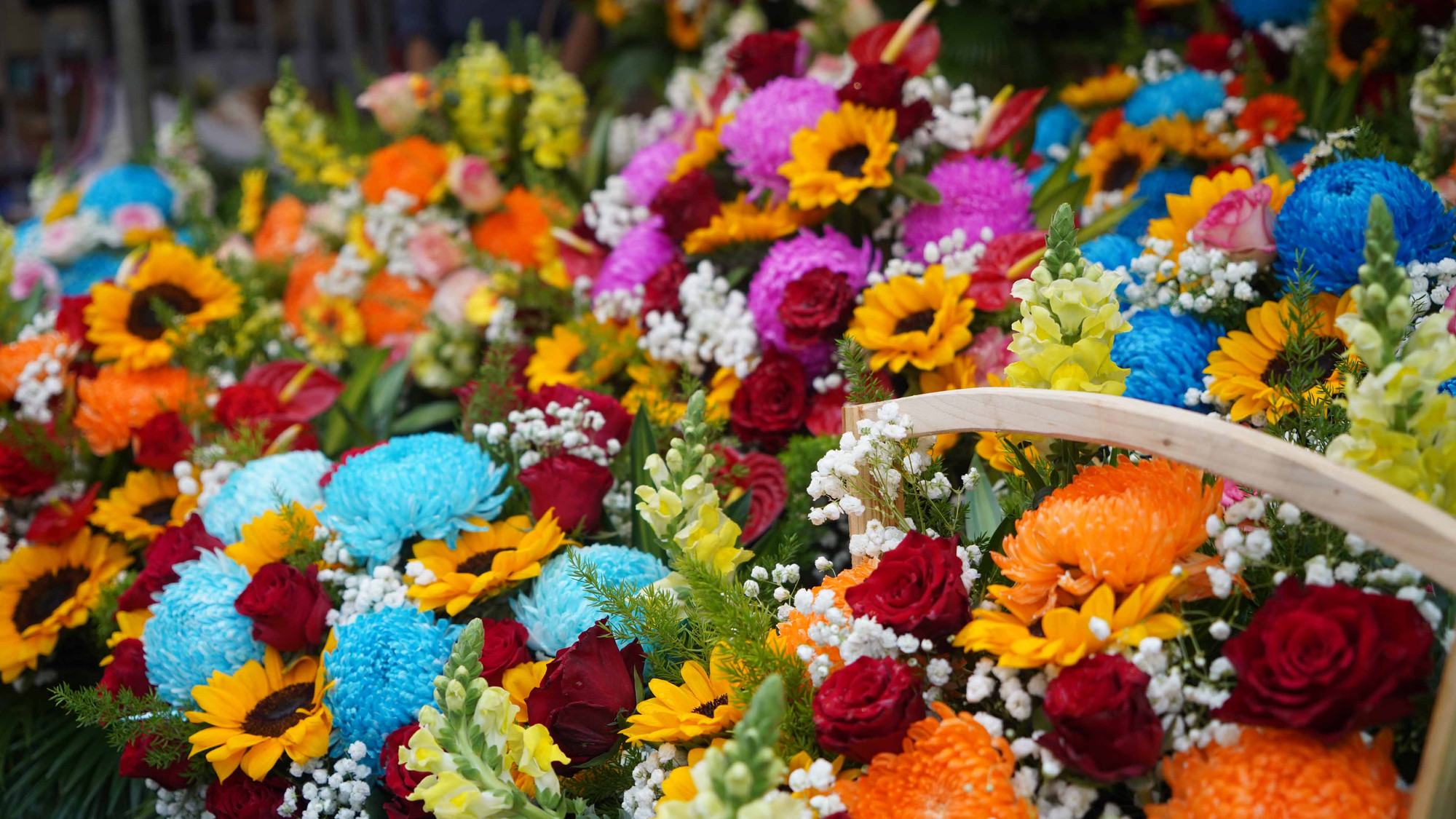 Nhiều loài hoa rực rỡ đủ màu sắc.