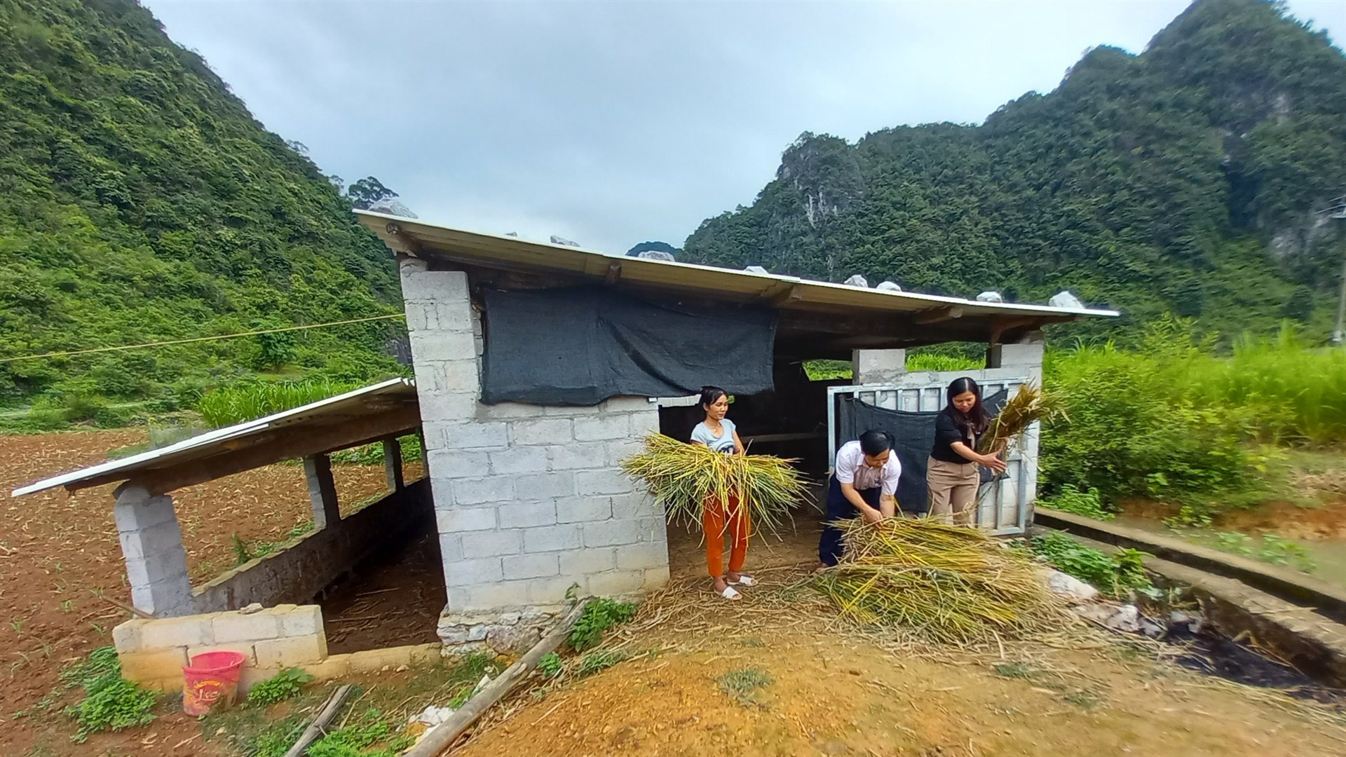 Hộ nghèo ở xã Thống Nhất, huyện Hạ Lang, tỉnh Cao Bằng sử dụng hiệu quả vốn tín dụng chính sách đầu tư xây dựng chuồng trại, phát triển chăn nuôi. Hộ nghèo ở xã Thống Nhất, huyện Hạ Lang, tỉnh Cao Bằng sử dụng hiệu quả vốn tín dụng chính sách đầu tư xây dựng chuồng trại, phát triển chăn nuôi.