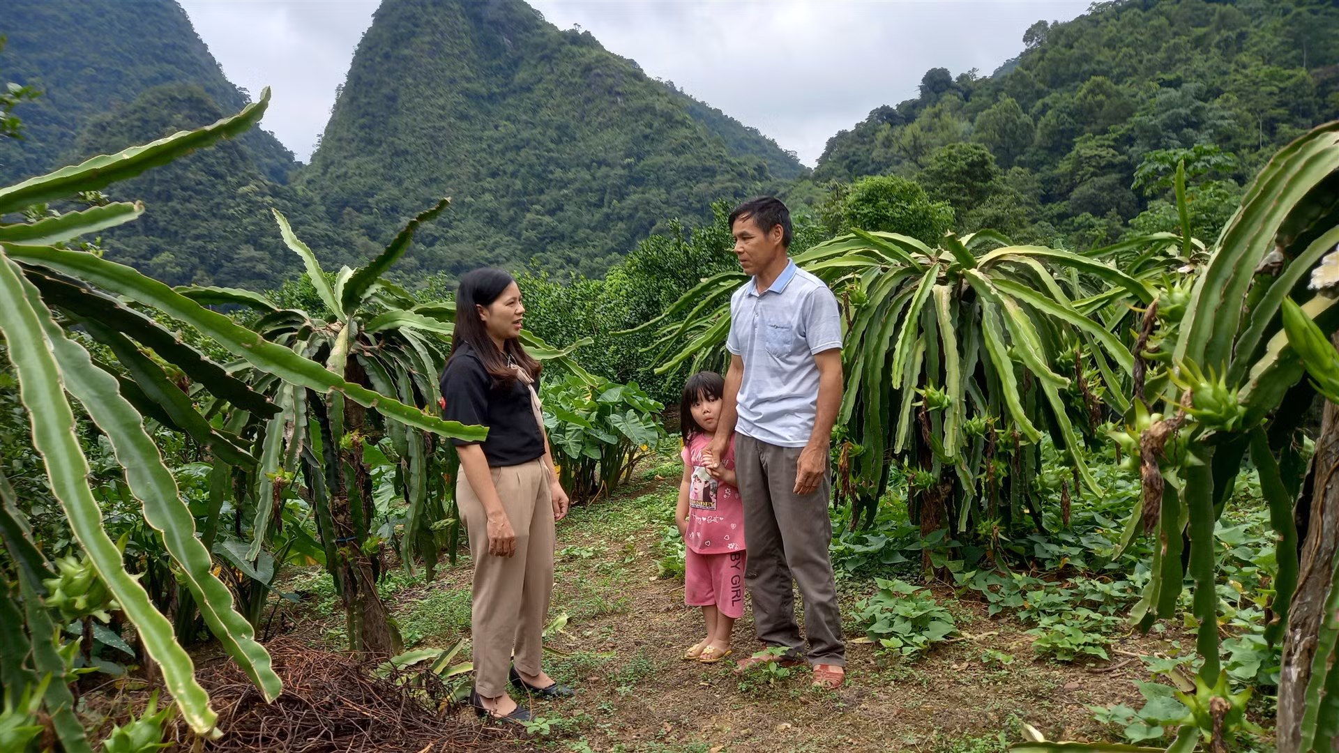 Cán bộ tín dụng chính sách huyện Hạ Lang, tỉnh Cao Bằng kiểm tra hiệu quả vốn tín dụng chính sách tại xã Quang Long.