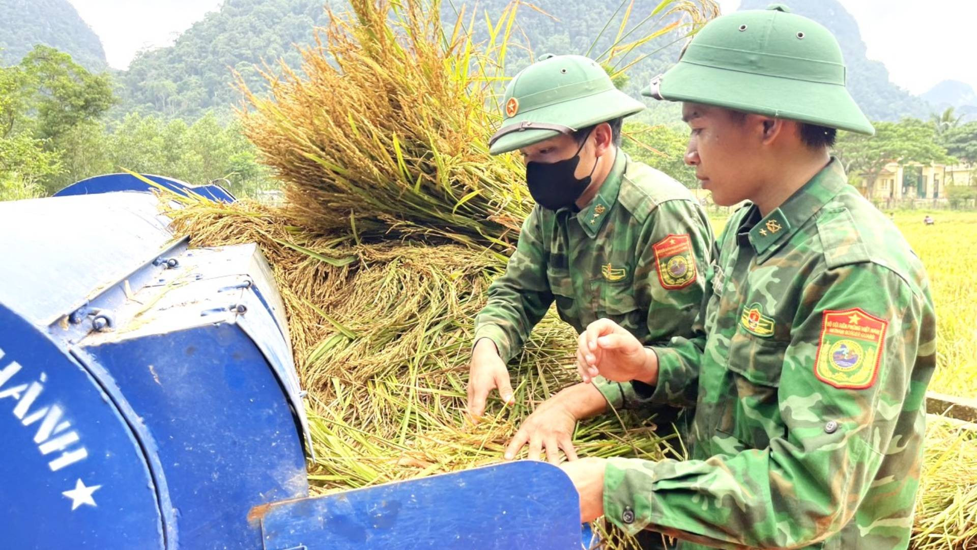 Cán bộ, chiến sĩ Đồn Biên phòng Cà Xèng đưa máy ra tận bờ ruộng để giúp bà con tuốt lúa.