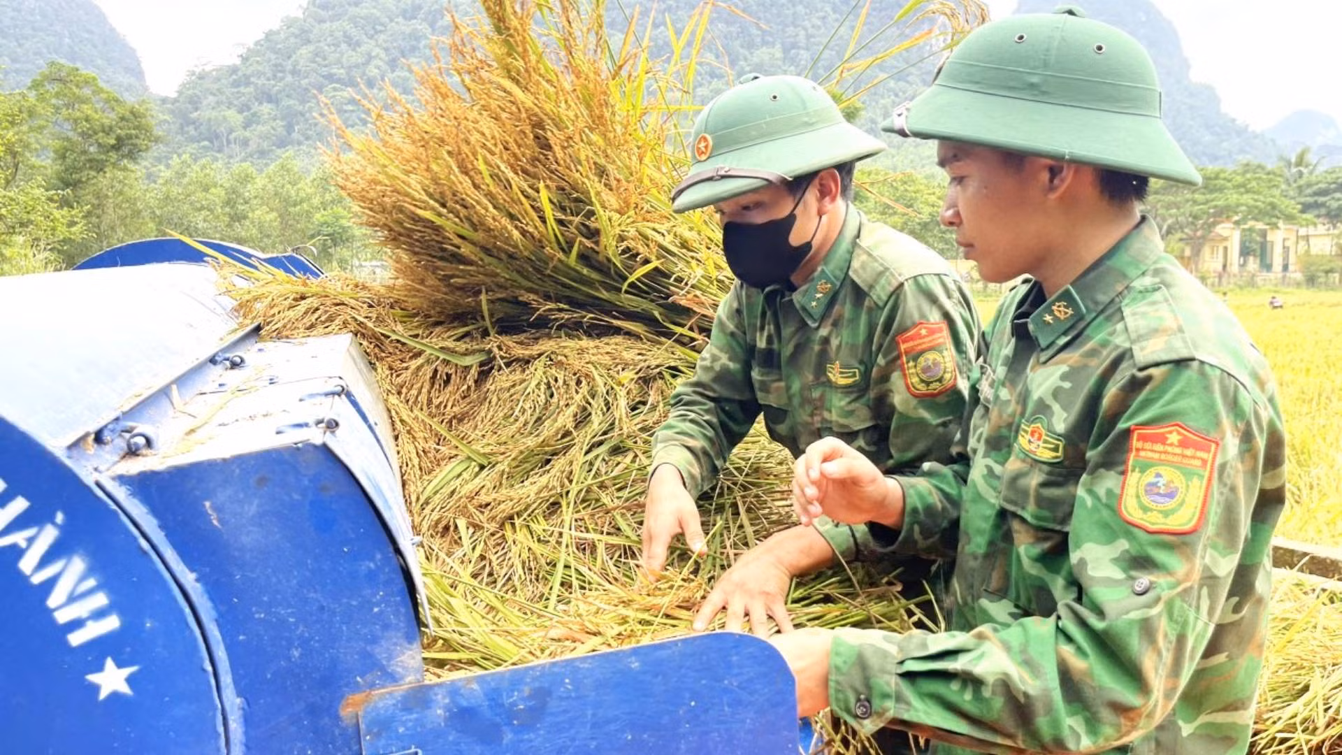 Cán bộ, chiến sĩ Đồn Biên phòng Cà Xèng đưa máy ra tận bờ ruộng để giúp bà con tuốt lúa.