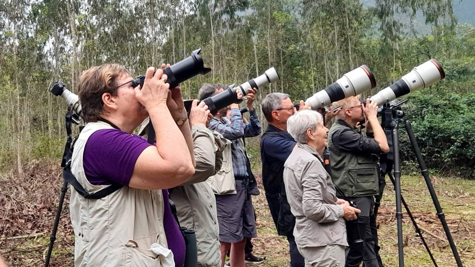 [Ảnh] Bảo vệ, bảo tồn voọc gáy trắng ở Quảng Bình ảnh 9