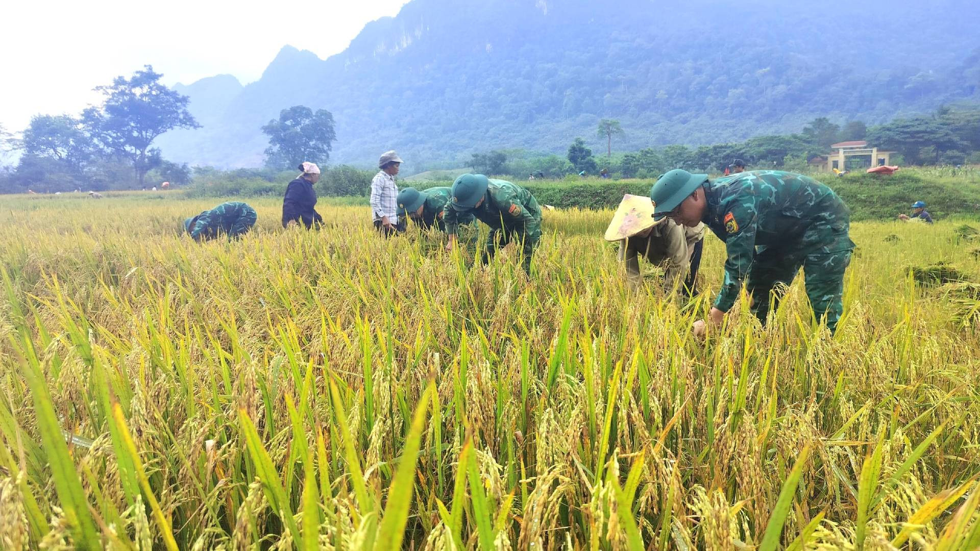 Dự án lúa nước Rục Làn được Bộ đội Biên phòng Quảng Bình đầu tư nhiều năm trước với diện tích 10ha để hướng dẫn, giúp đỡ bà con người Rục (dân tộc Chứt) tại 3 bản Ón, Yên Hợp và Mò O Ồ Ồ, xã Thượng Hóa biết sản xuất lúa nước, từ đó chủ động nguồn lương thực tại chỗ.