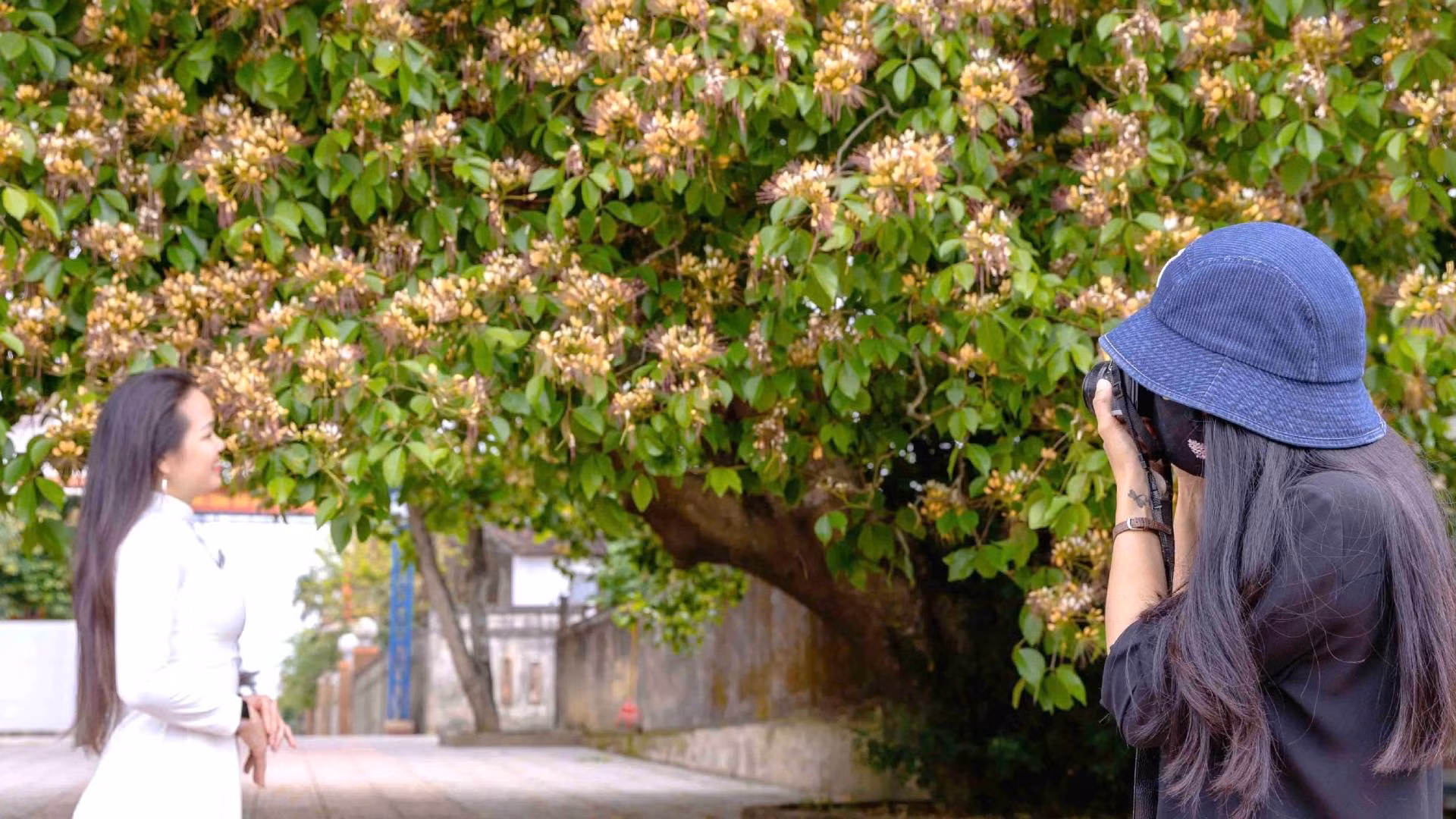 Tạo dáng bên cành hoa bún