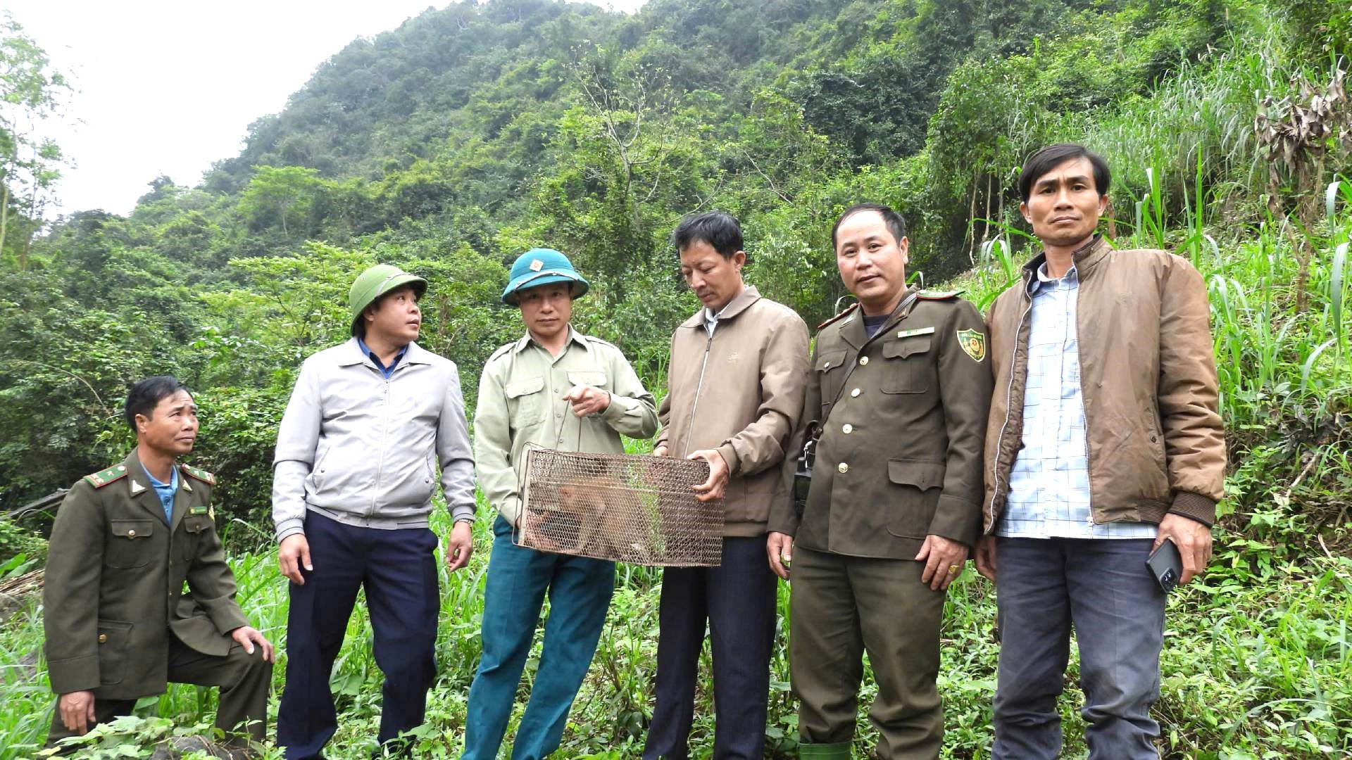 [Ảnh] Bảo vệ, bảo tồn voọc gáy trắng ở Quảng Bình ảnh 5