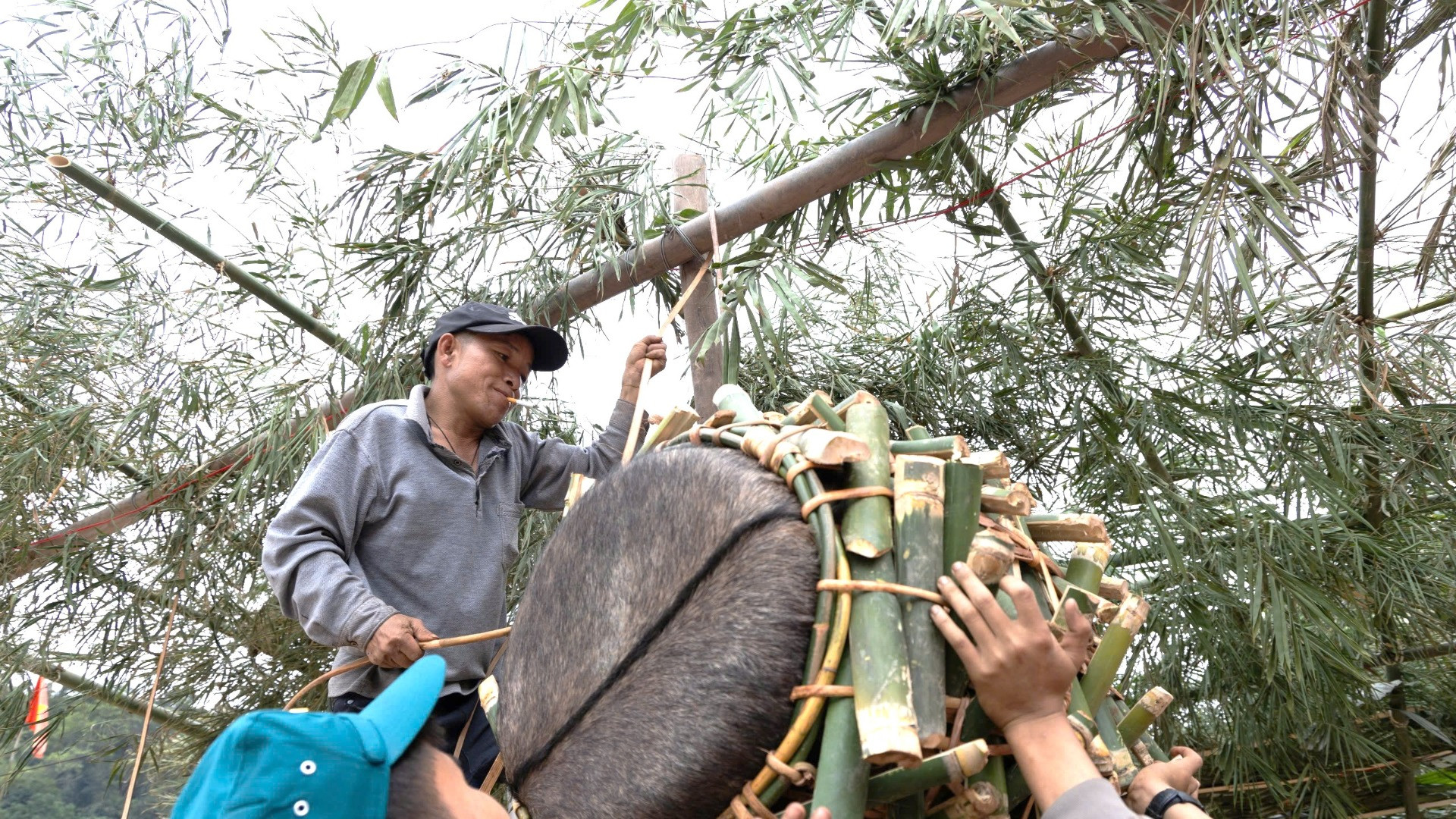 Trống làm bằng da tươi, tang trống được nêm thêm nhiều miếng tre lồ ô nên khá nặng, khi treo lên cao phải cần nhiều người hỗ trợ